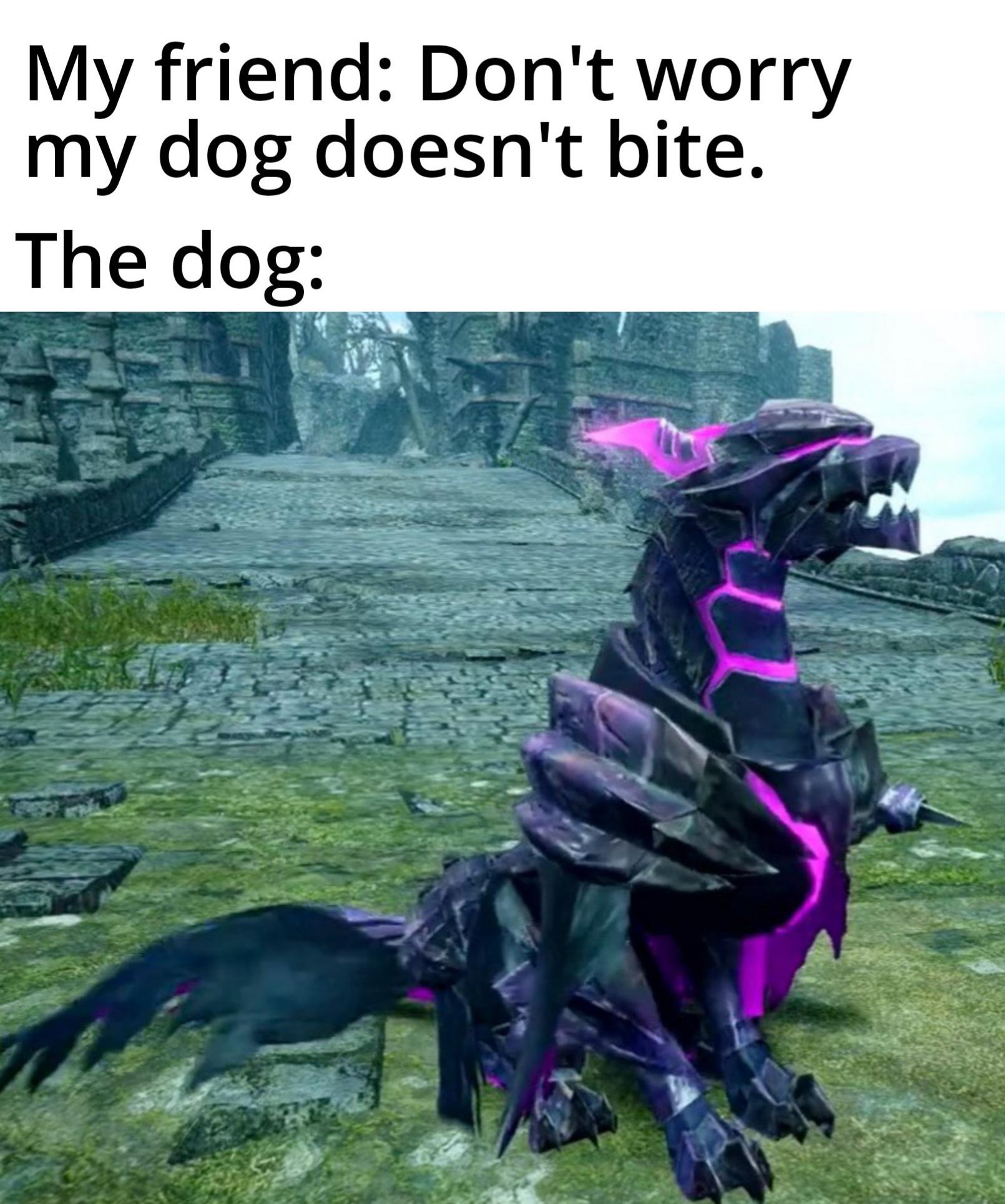 Does he bite? No but he'll steal your soul. MemeHunter