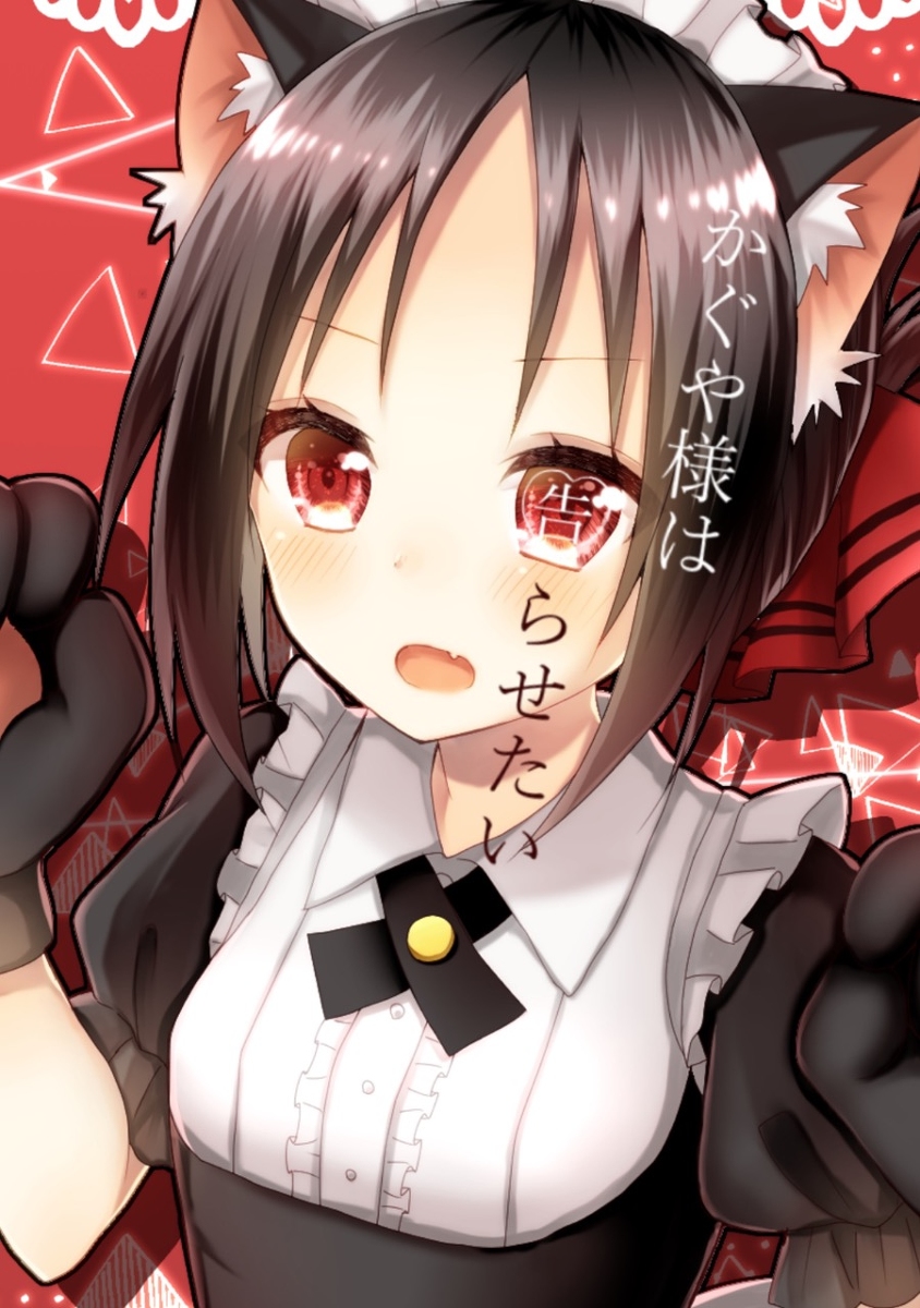 Maid Catguya Kaguya_sama