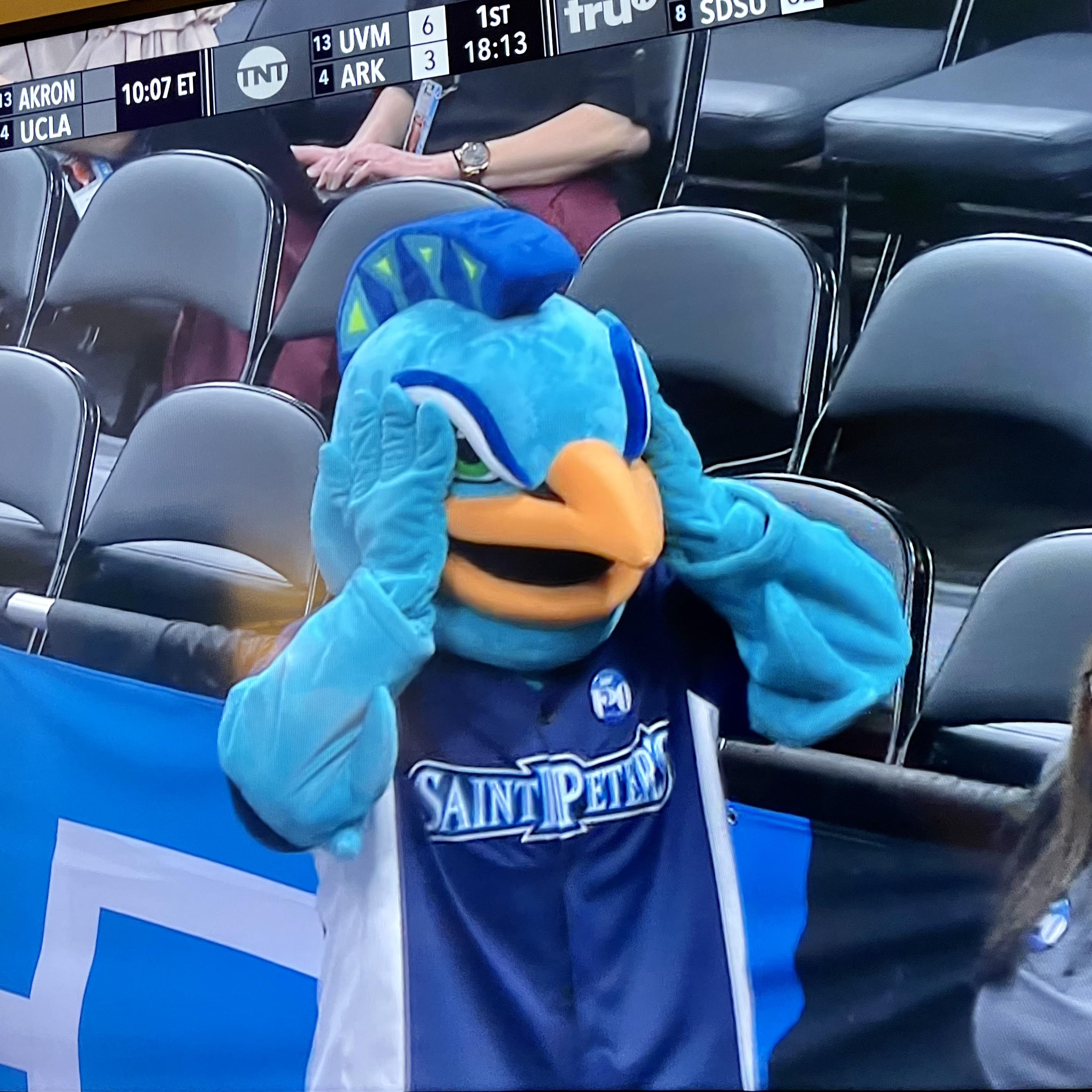 The Saint Peter’s Peacock is all of us r/CollegeBasketball