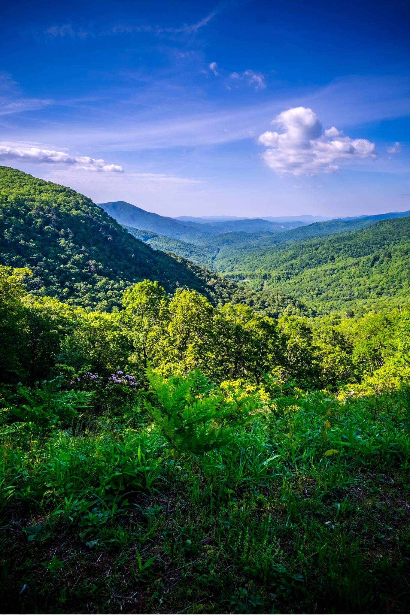 Blue ridge parkway [OC][1365x2048] r/EarthPorn