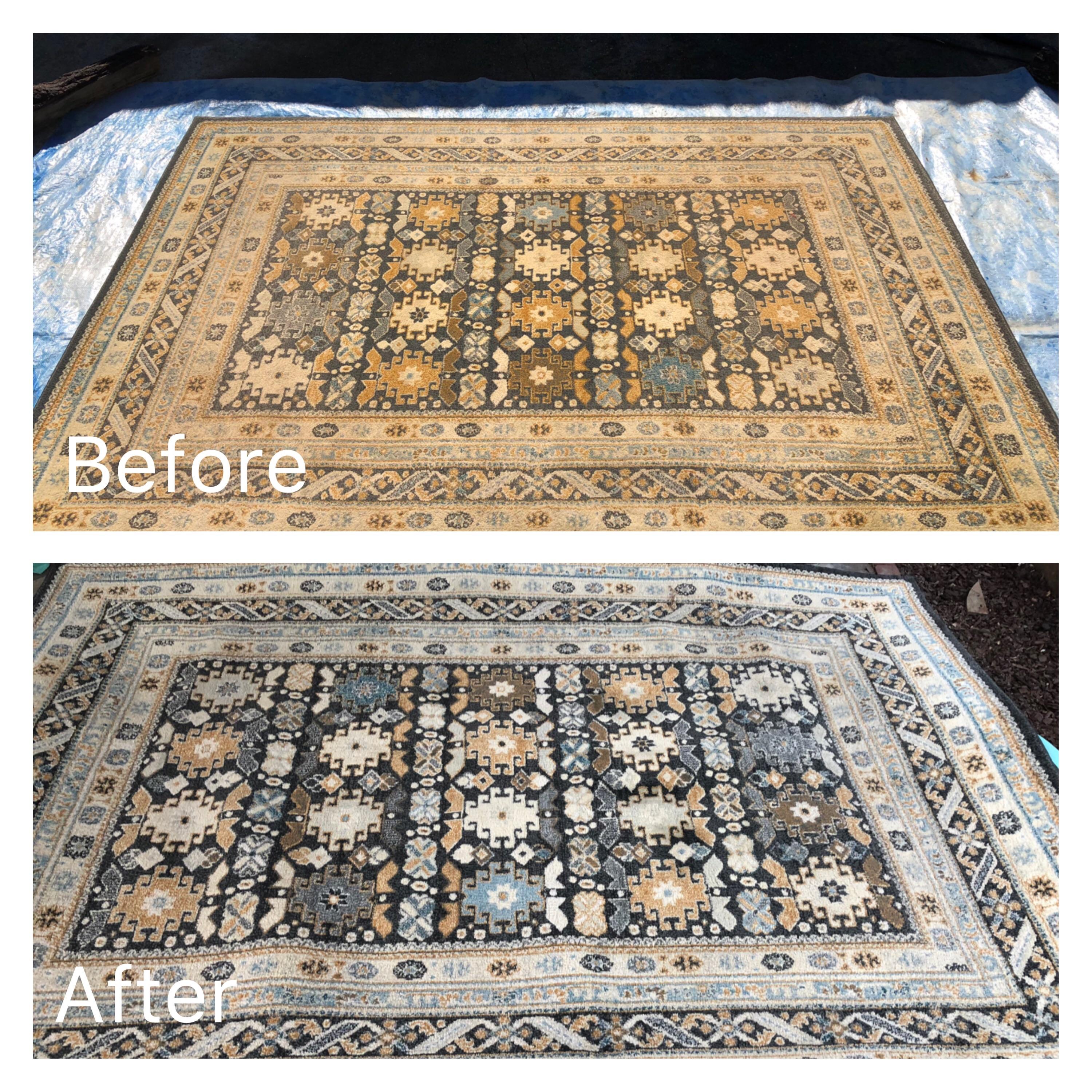 Power washing our living room rug that our dusty/dirty dogs love to lie