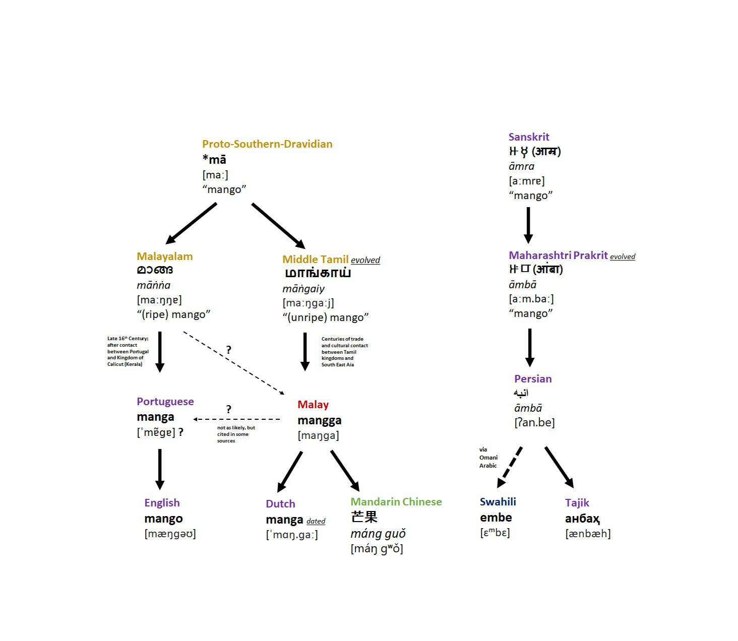 Mango (Mangifera indica) Etymology r/Dravidiology