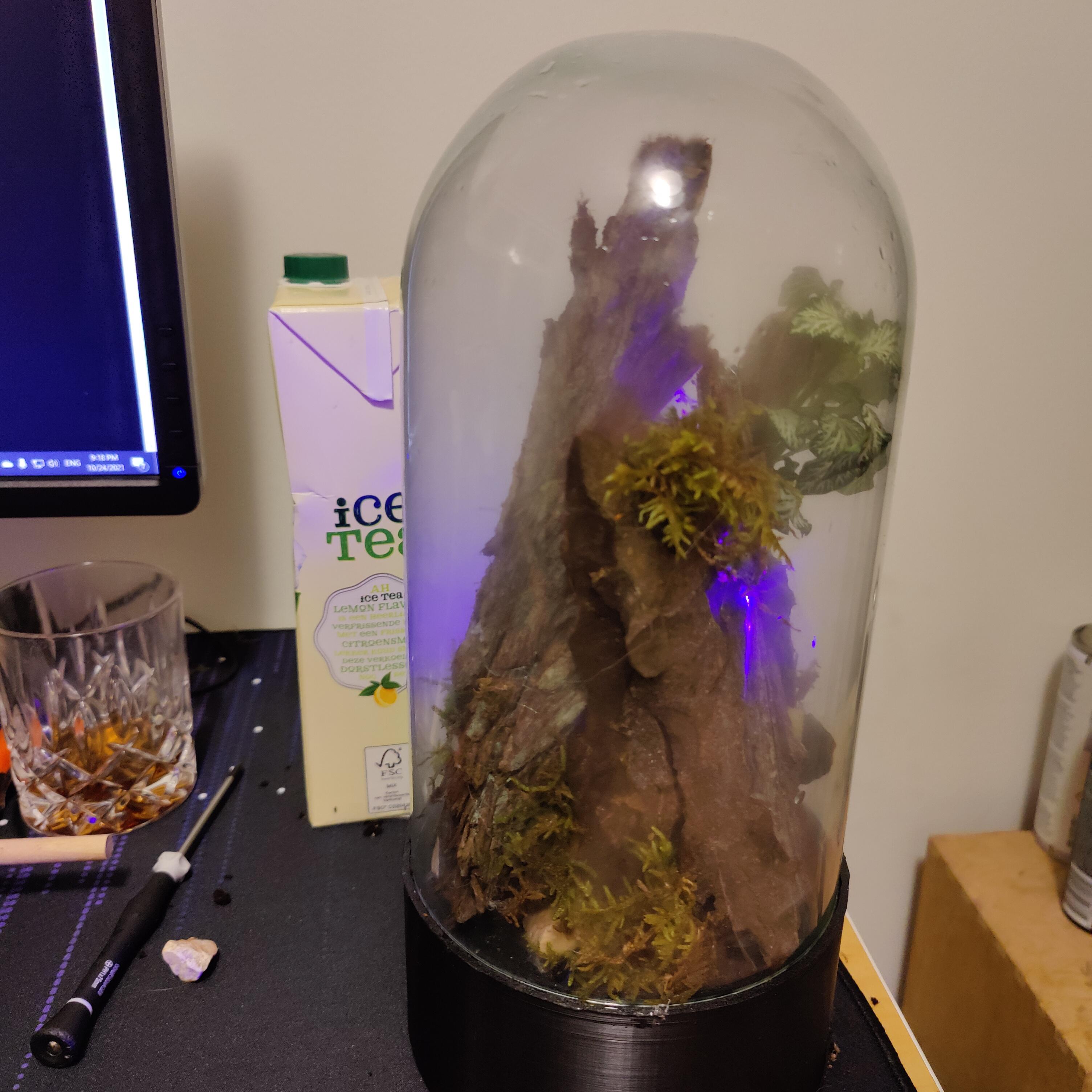 Made an Arduino controlled terrarium with mist maker, lights and temperature control! r/Jarrariums