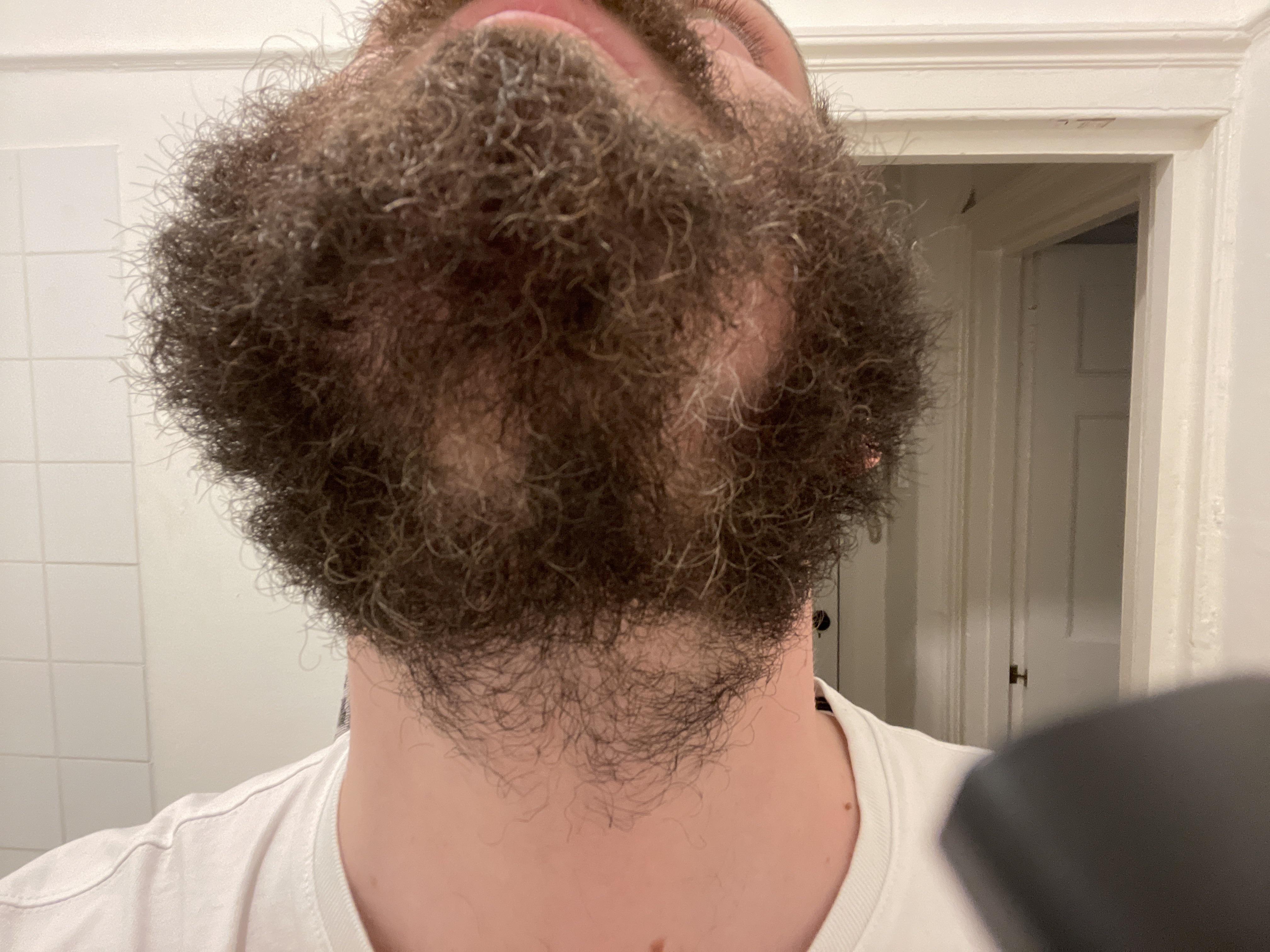 Harmonious progeny barbecue does a hair grow back when pulled out