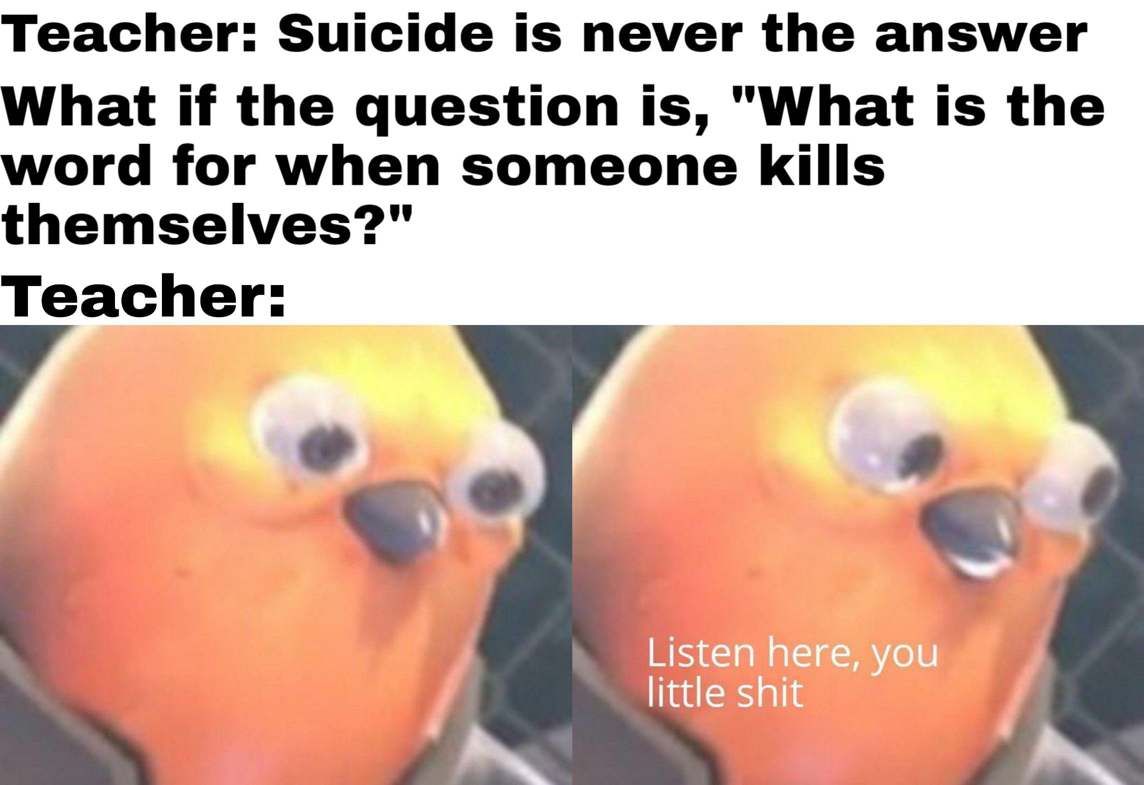 For all intents and purposes, this is just a joke memes