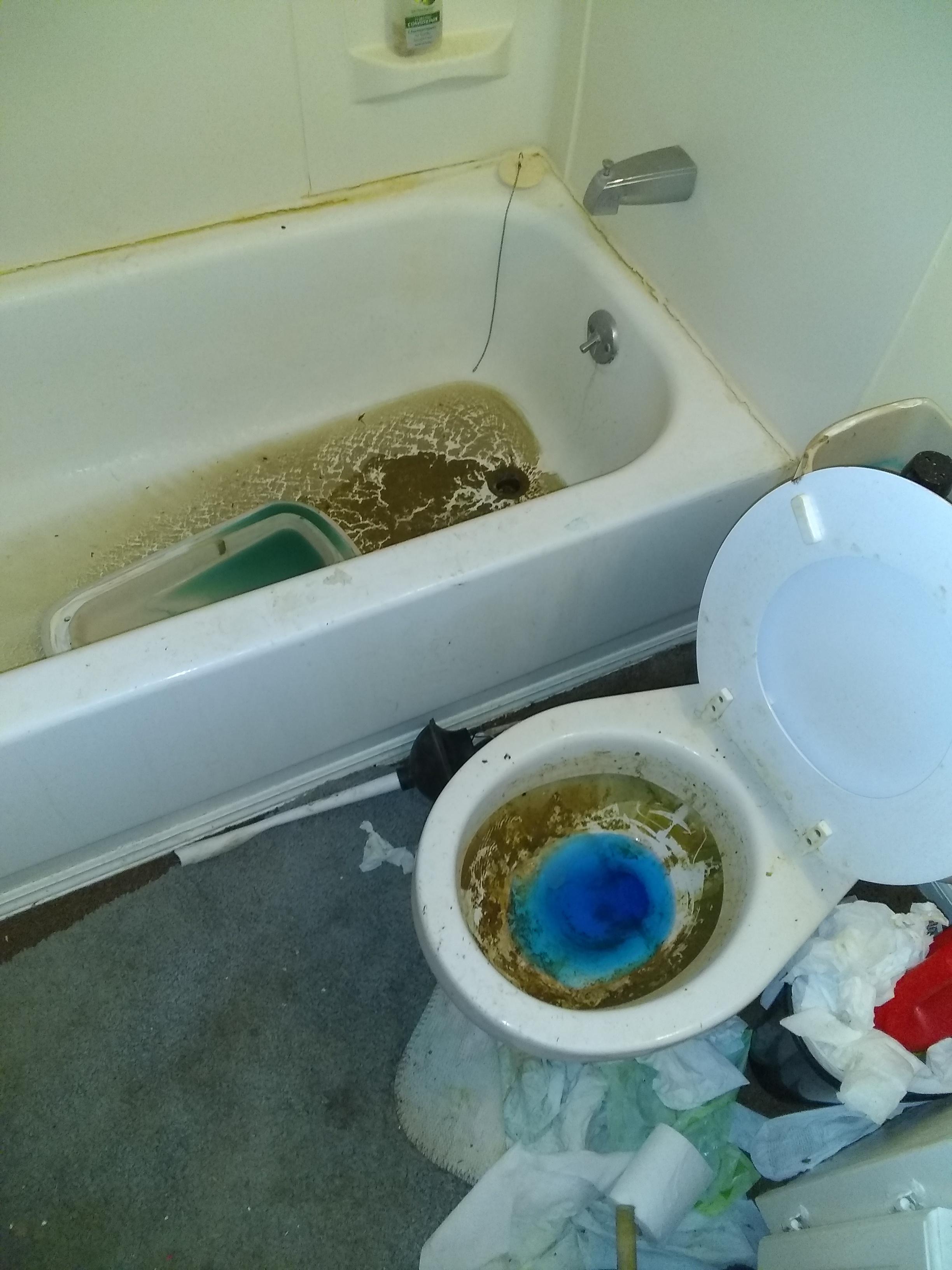 Part two of thr rental property post. They let the water get turned off