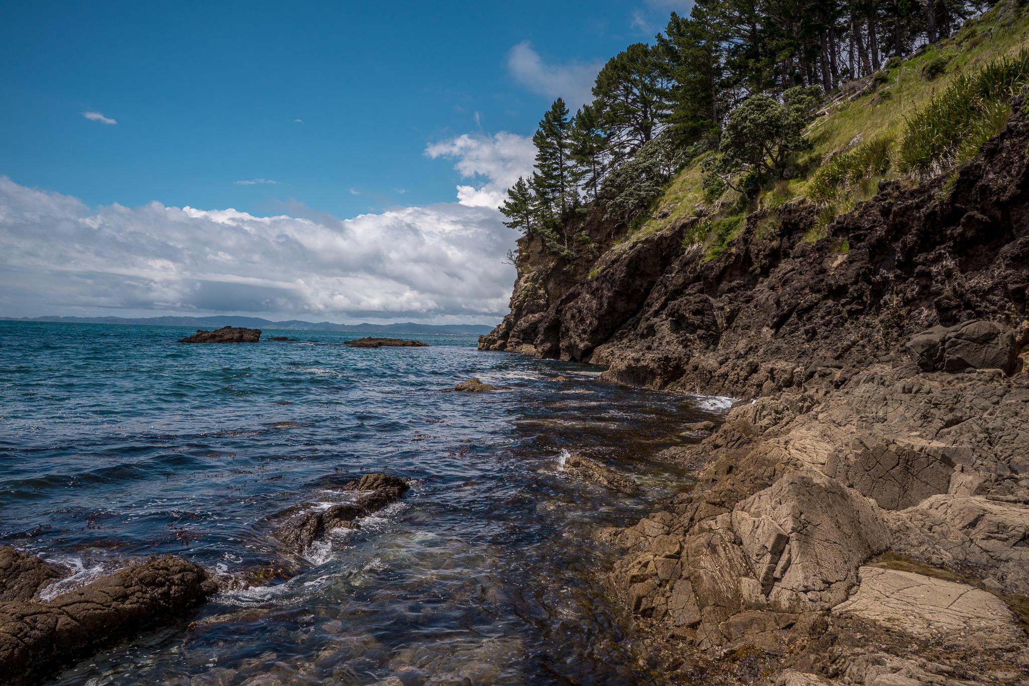 Coromandel coast r/newzealand