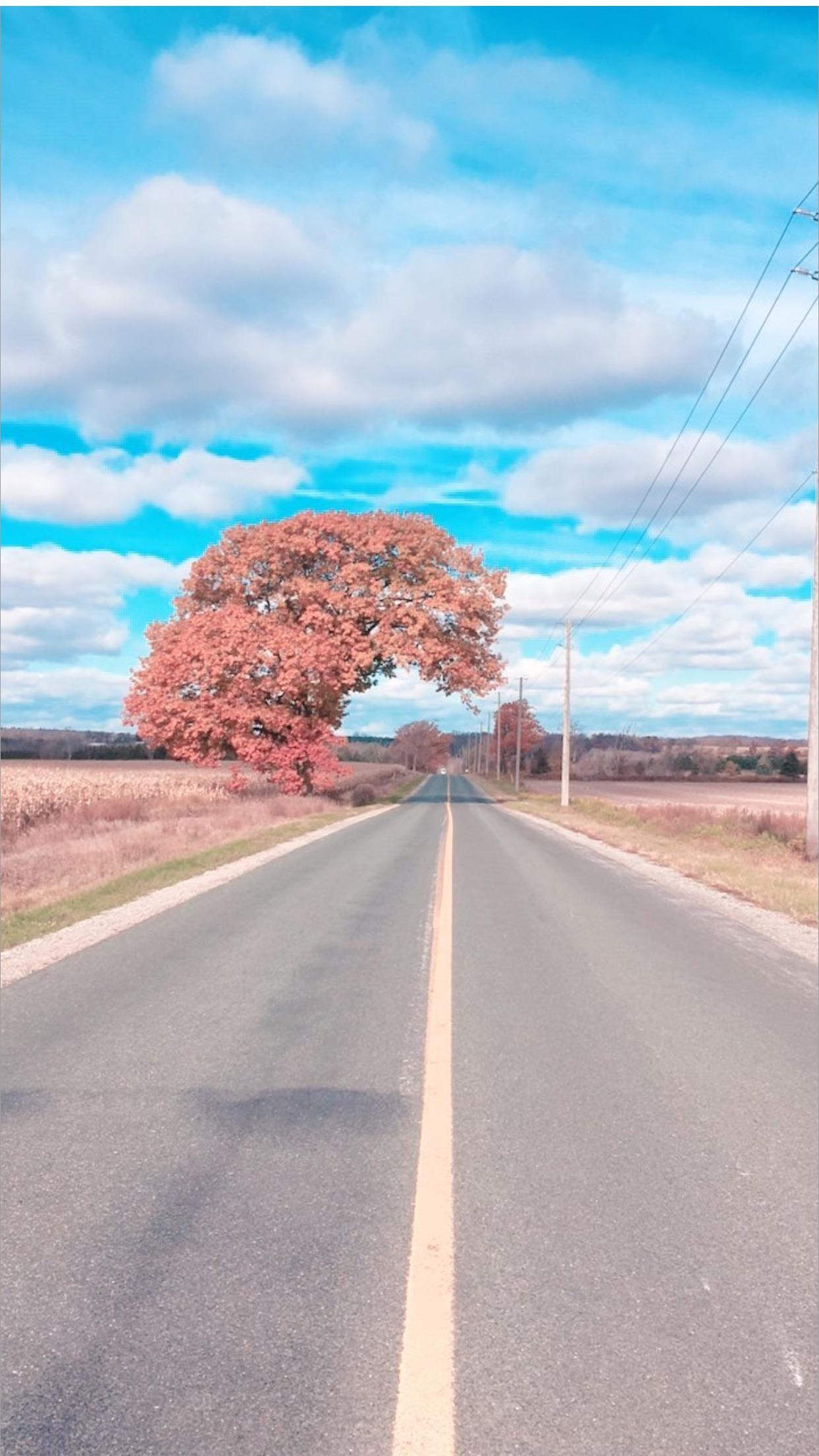 Drumbo/Ontario/Canada/November 7th 2017 r/pics