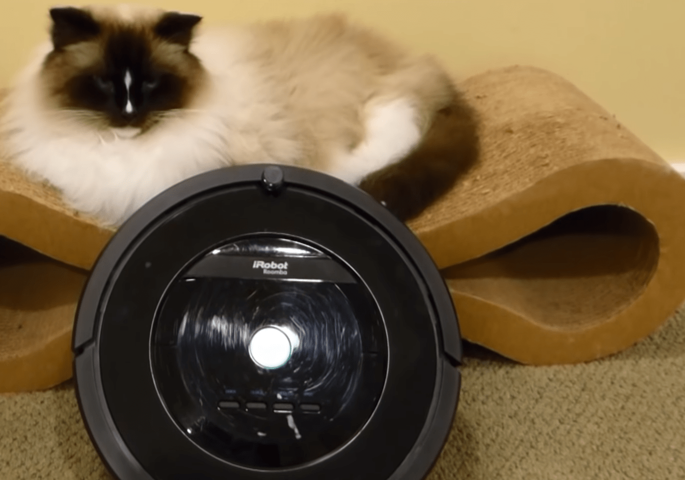 IROBOT ROOMBA Black Friday Deals 2019 r/roomba