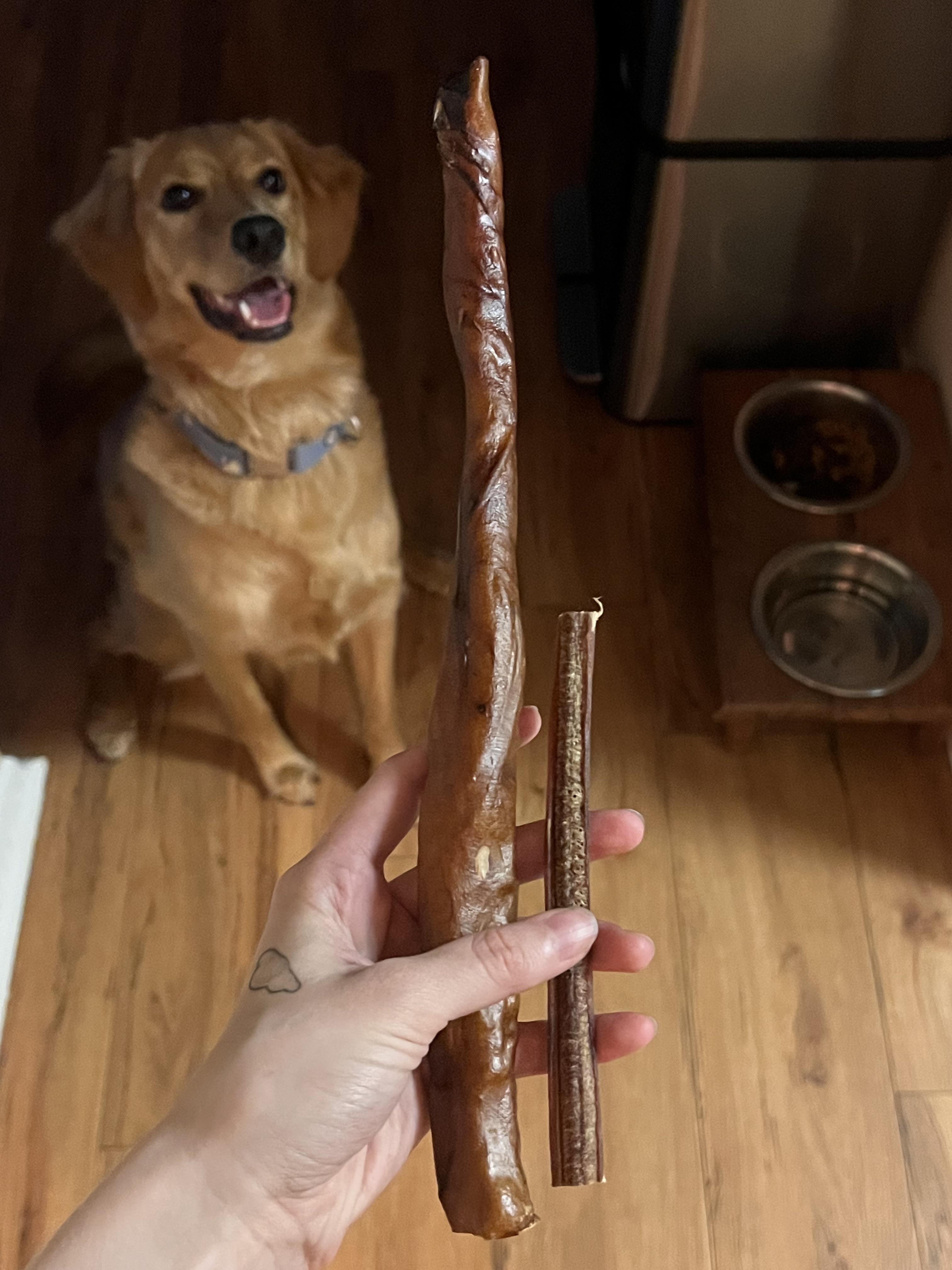 Costco bully sticks for my dog (left, 26) vs Amazon bully sticks