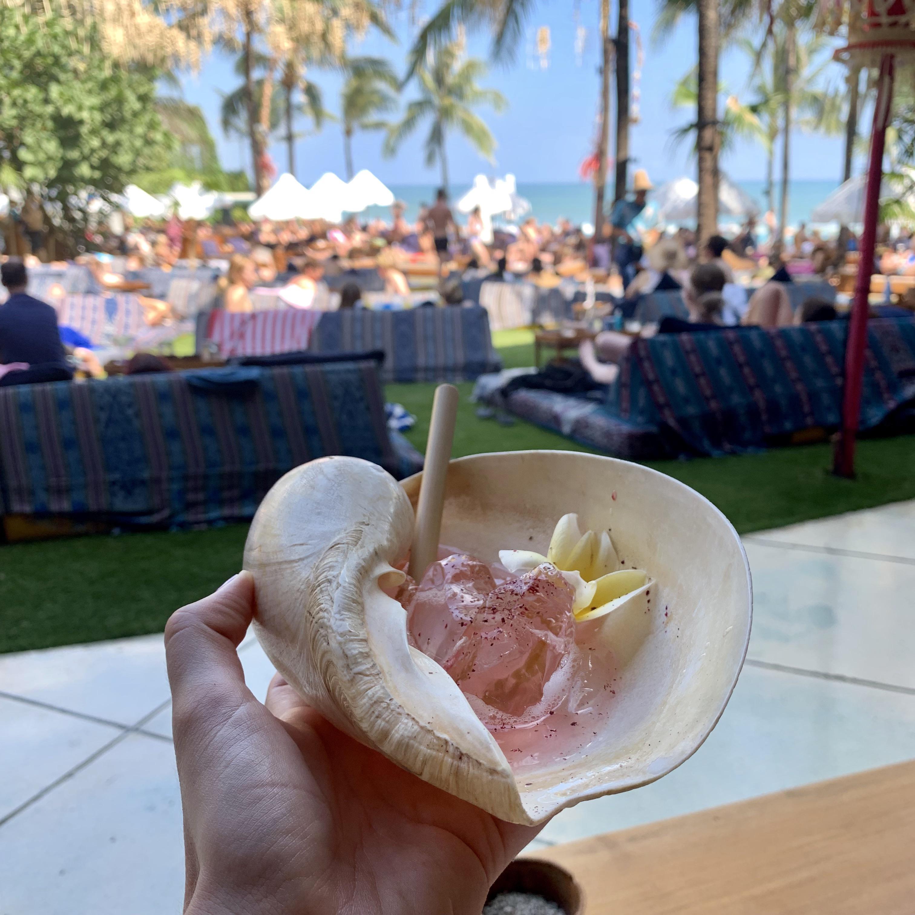 Cocktail served in a large shell. wewantcups