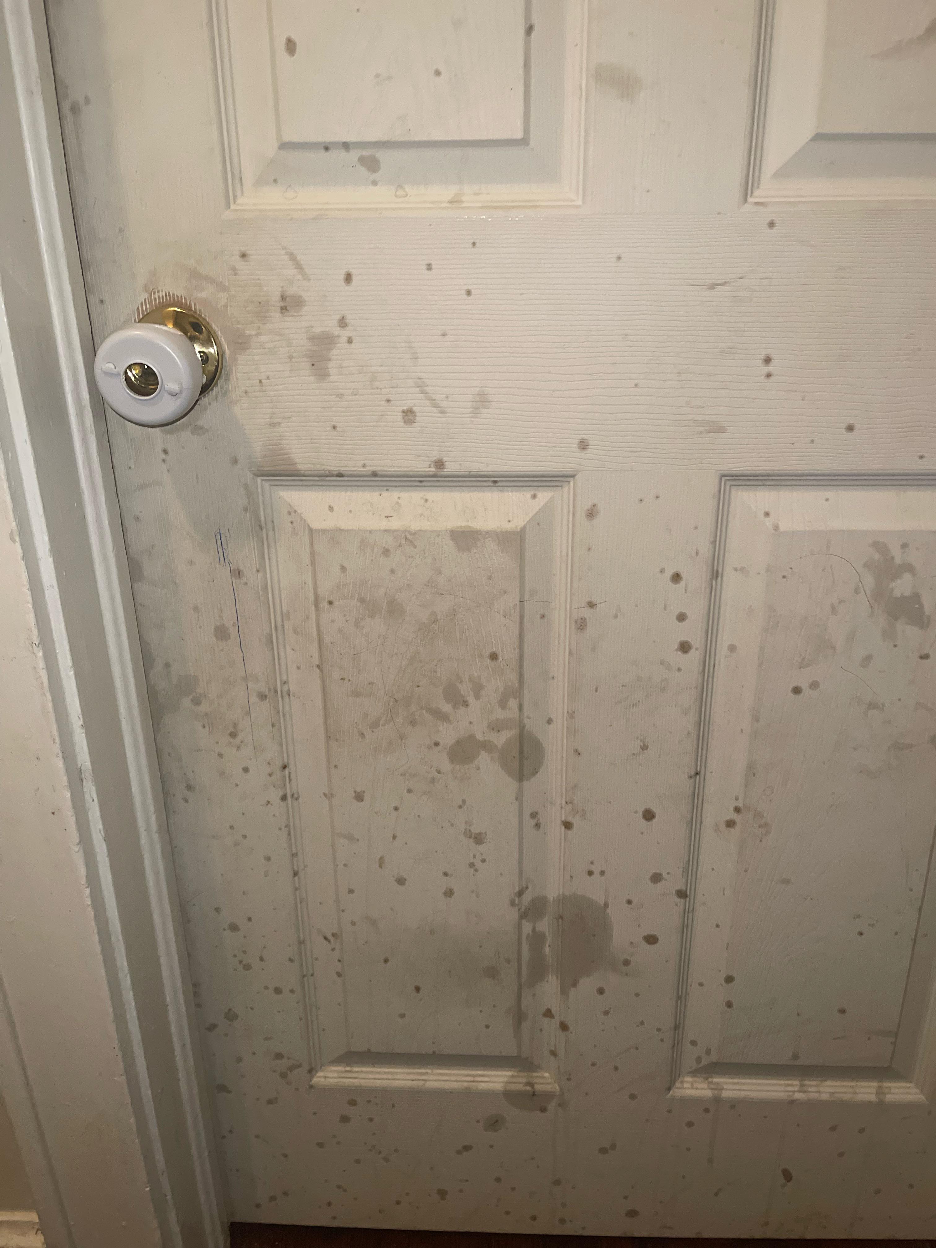 Possible grease/oil stains on wooden doors? r/CleaningTips