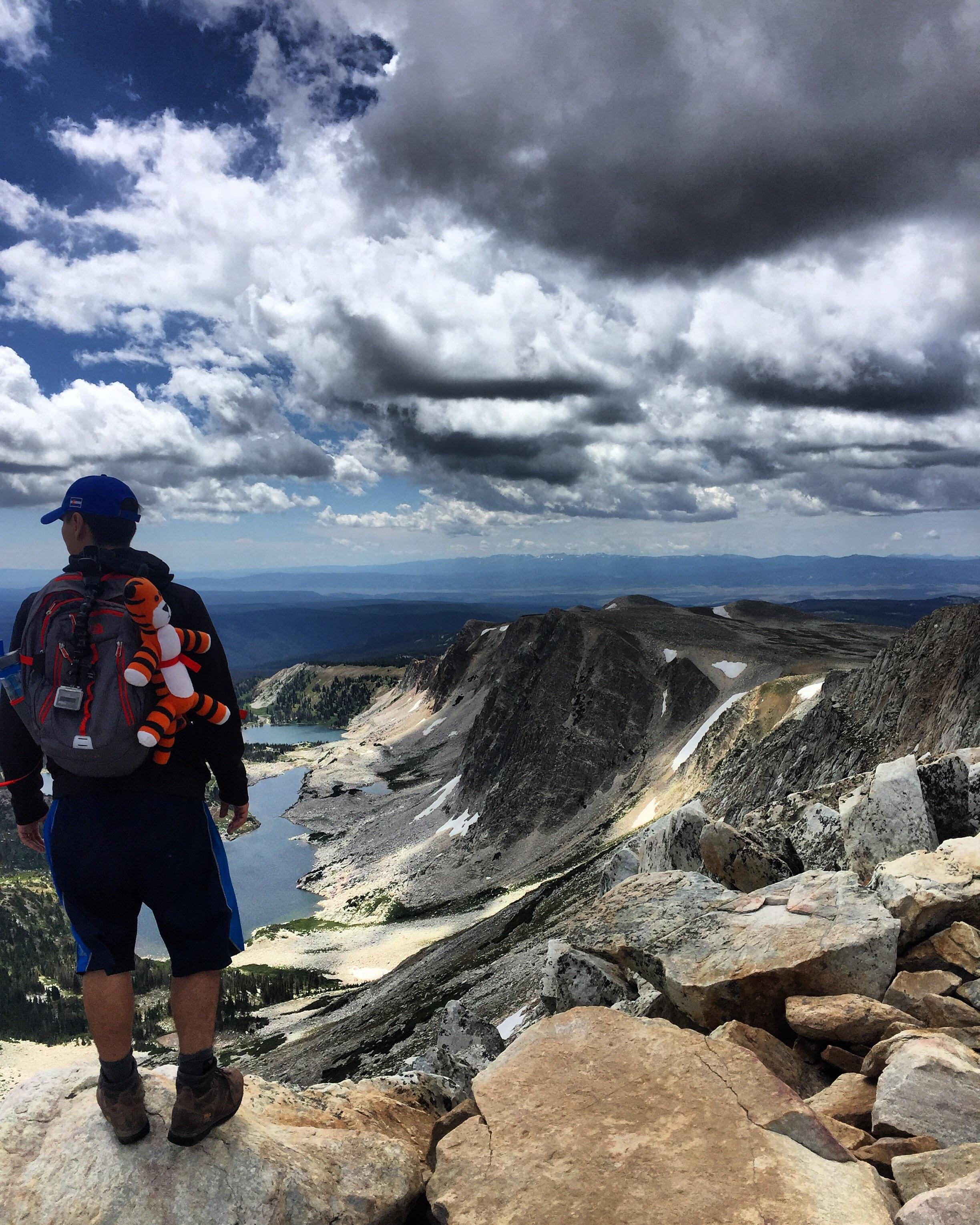 At the peak of the hike of Medicine Bow in Wyoming. r/CampingandHiking