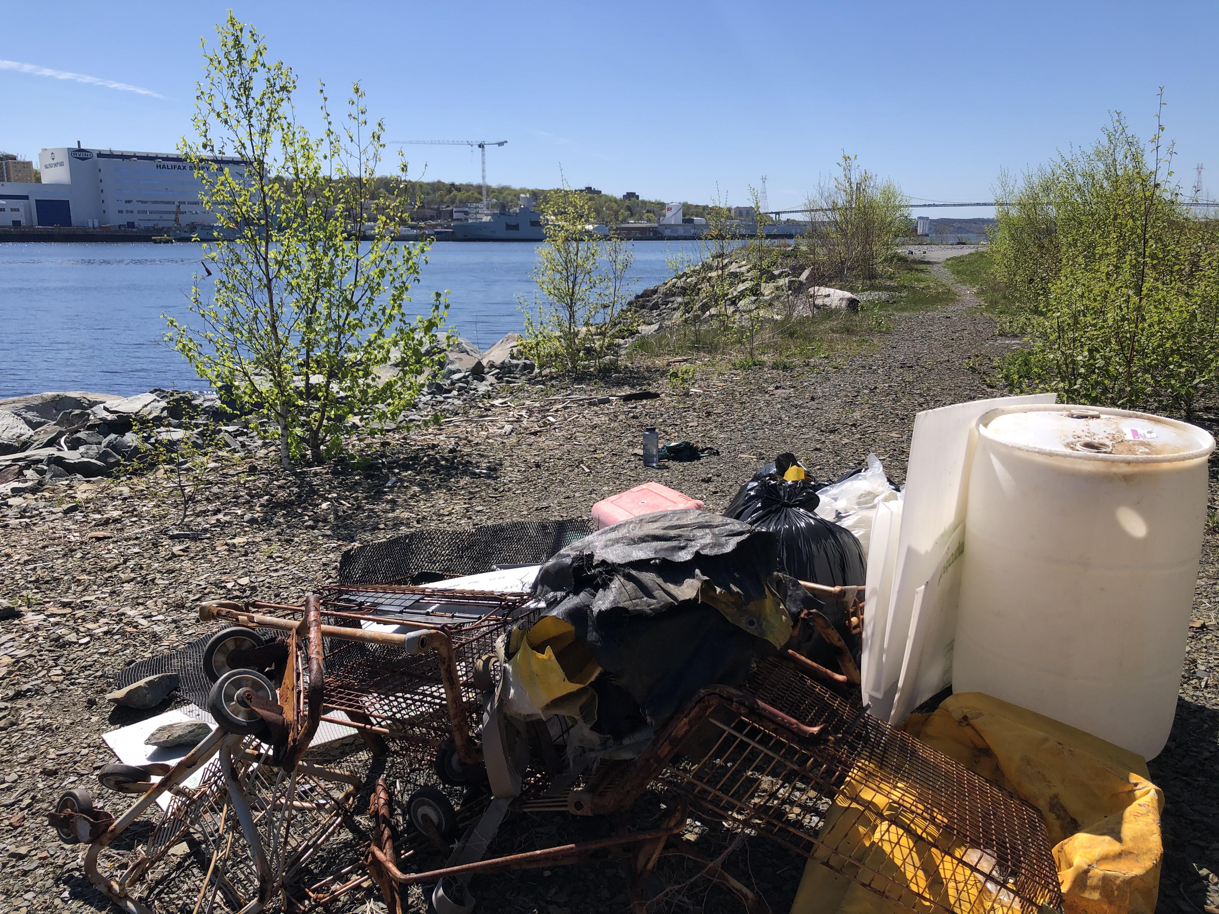 Clean up on the Dartmouth waterfront today! More details