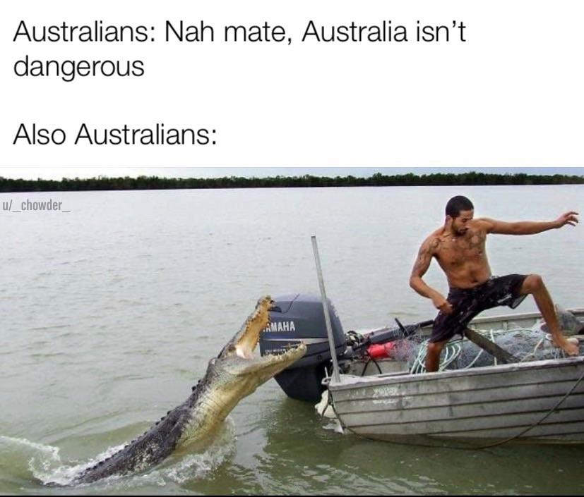 Australia is safe and other hilarious jokes r/memes