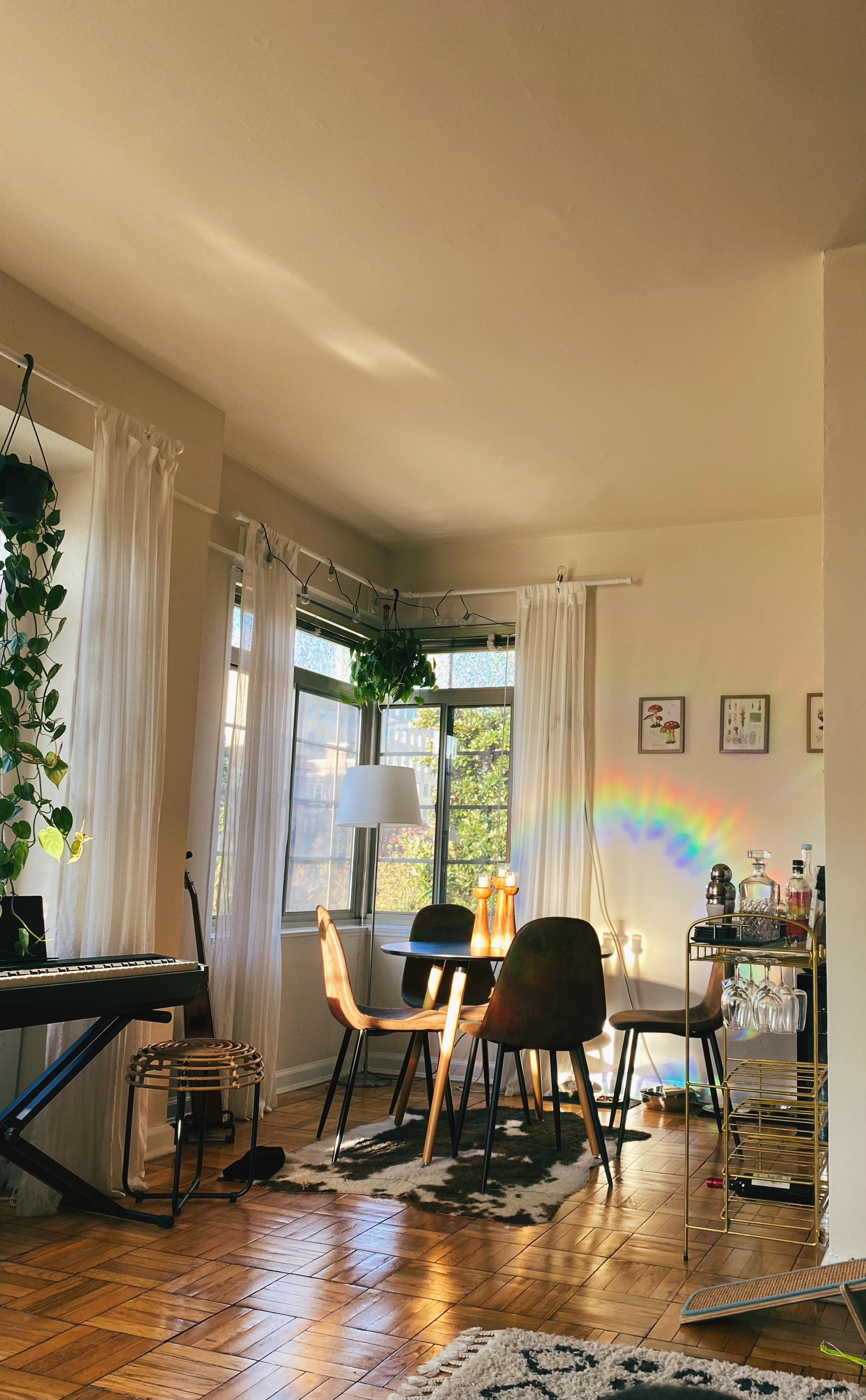 🌈 rainbow hour 🌈 in my apartment (Washington, DC) r/AmateurRoomPorn