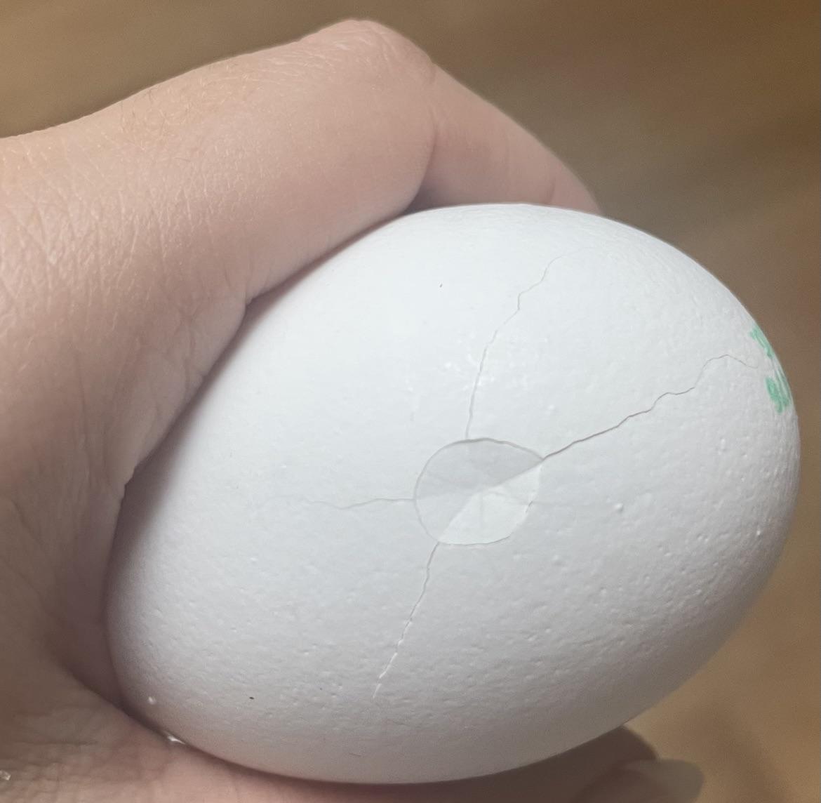 Is this egg safe to eat ? I bought it today and got home to see it was