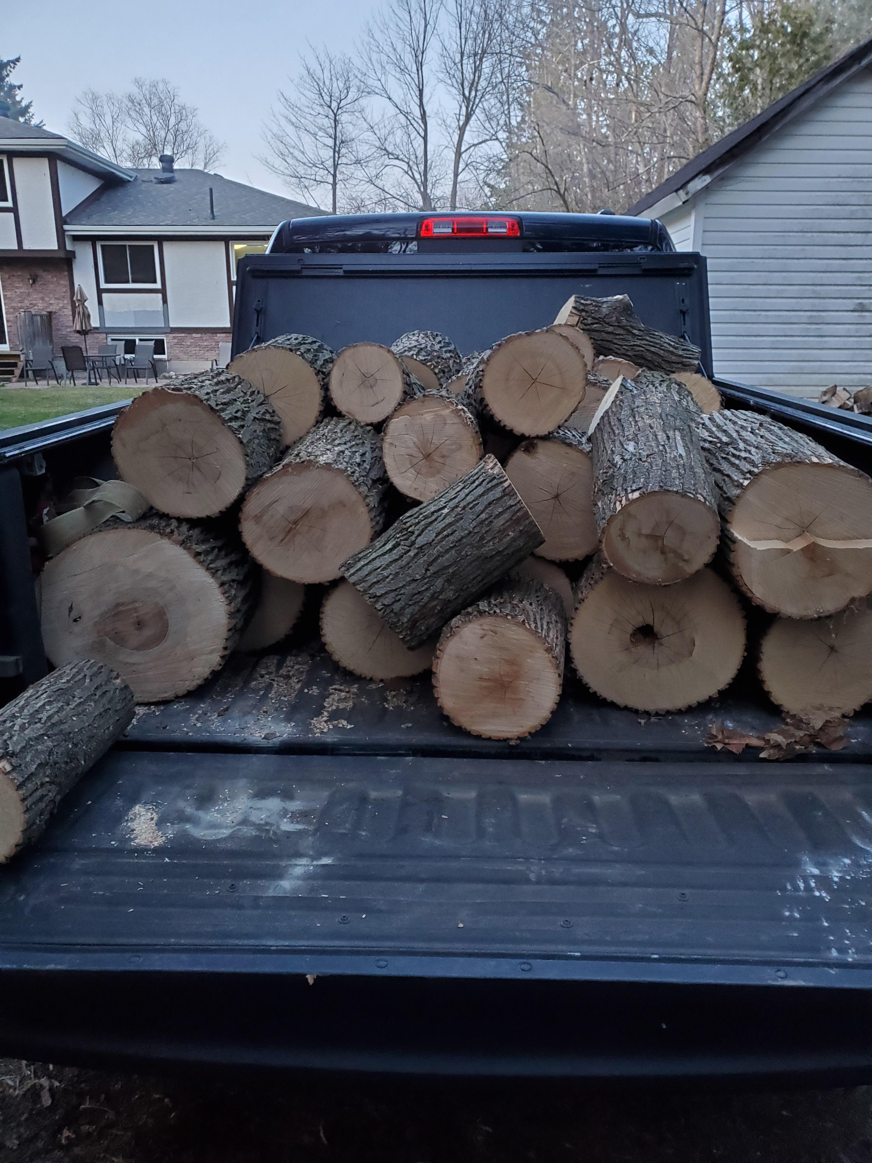 First free score of the year... fresh cut white ash r/firewood