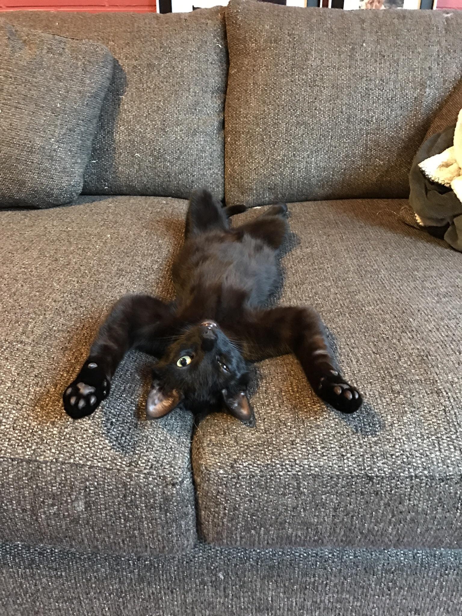 This is how he sleeps on the couch. And he only be bothered to open