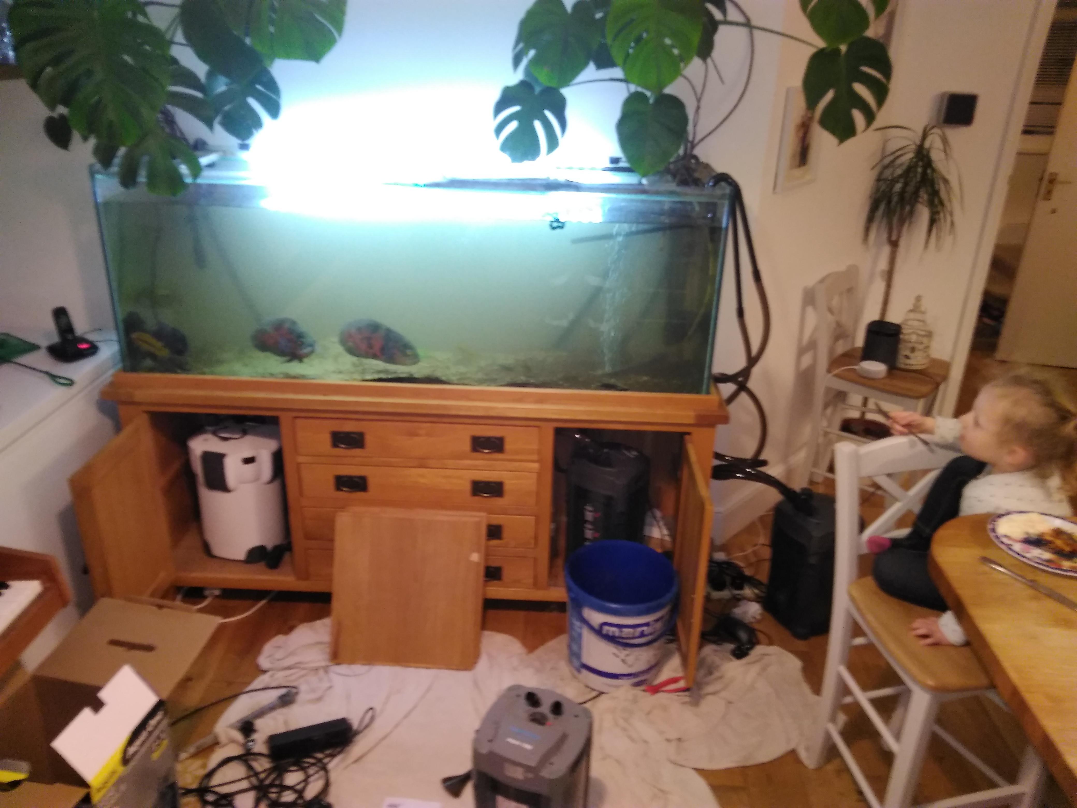 Aquarium disaster r/Aquariums