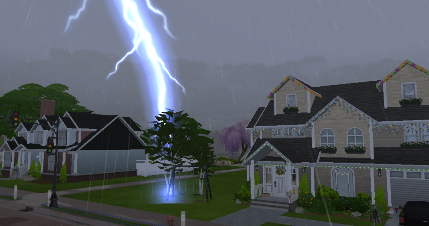 this tree has been struck by lightning so many times..i'm surprised it