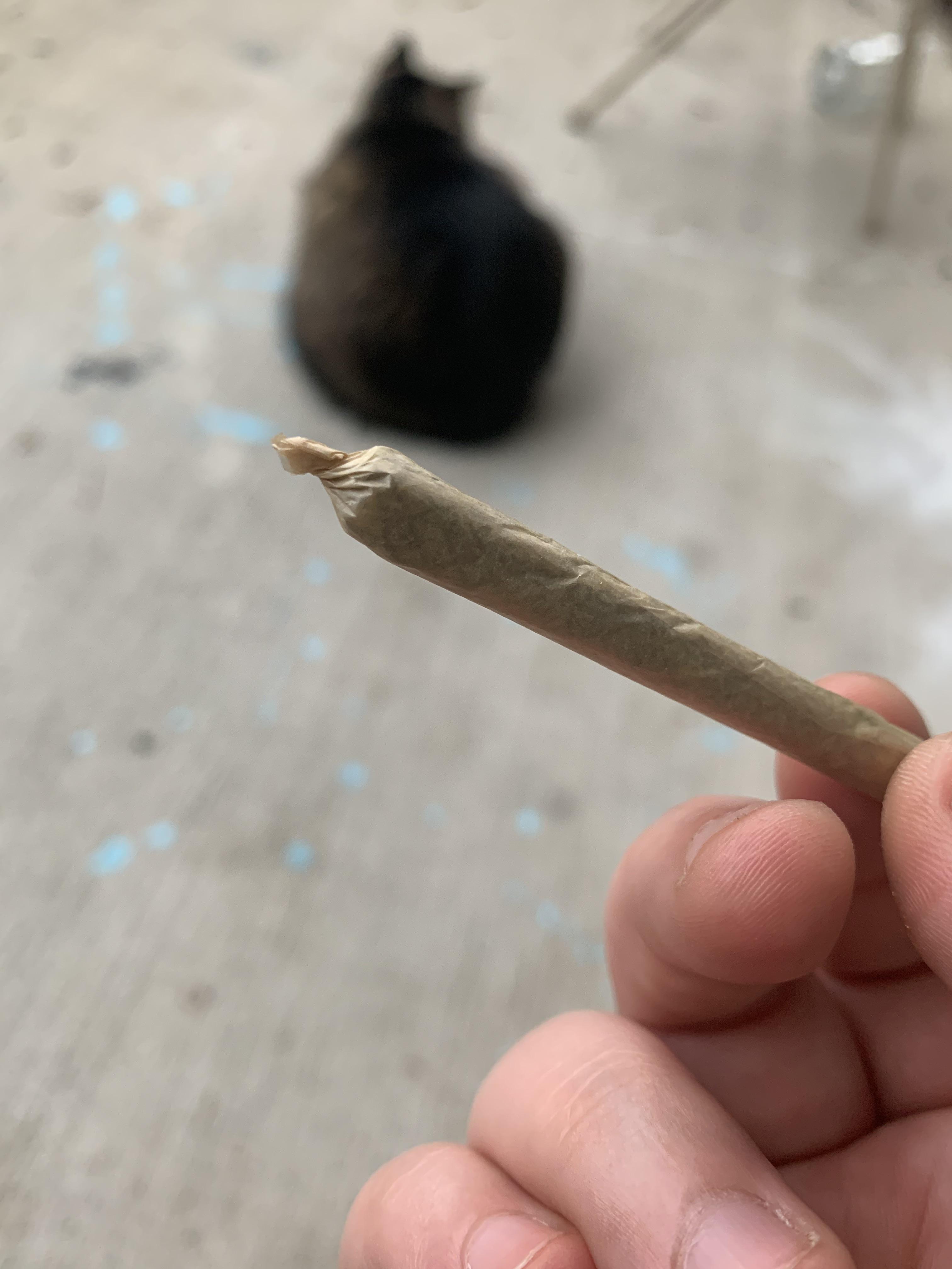 Finally after over 20 attempts. Enjoying my first roll r/weed