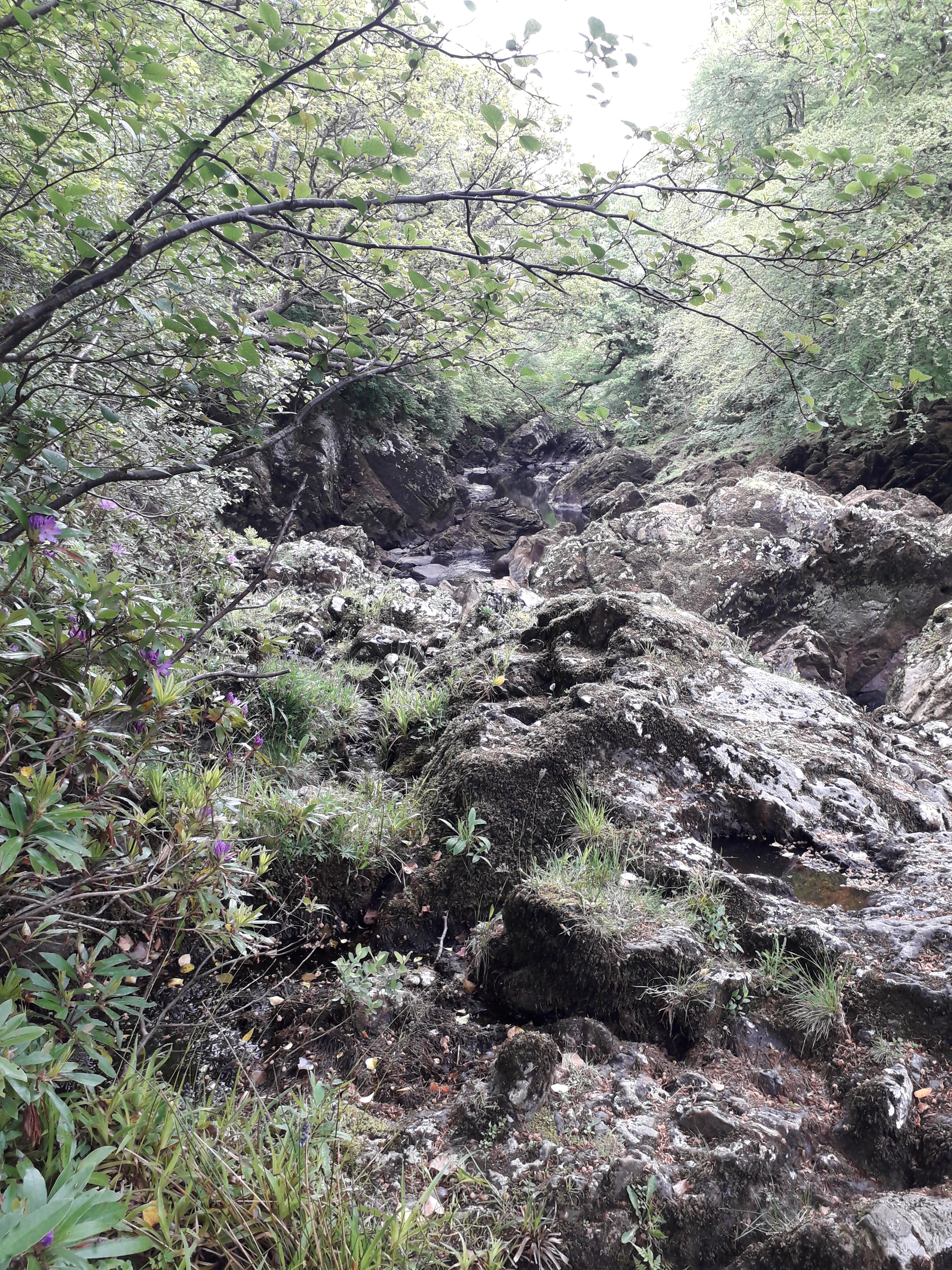 Salmon Leap, Glenfin, Donegal r/ireland