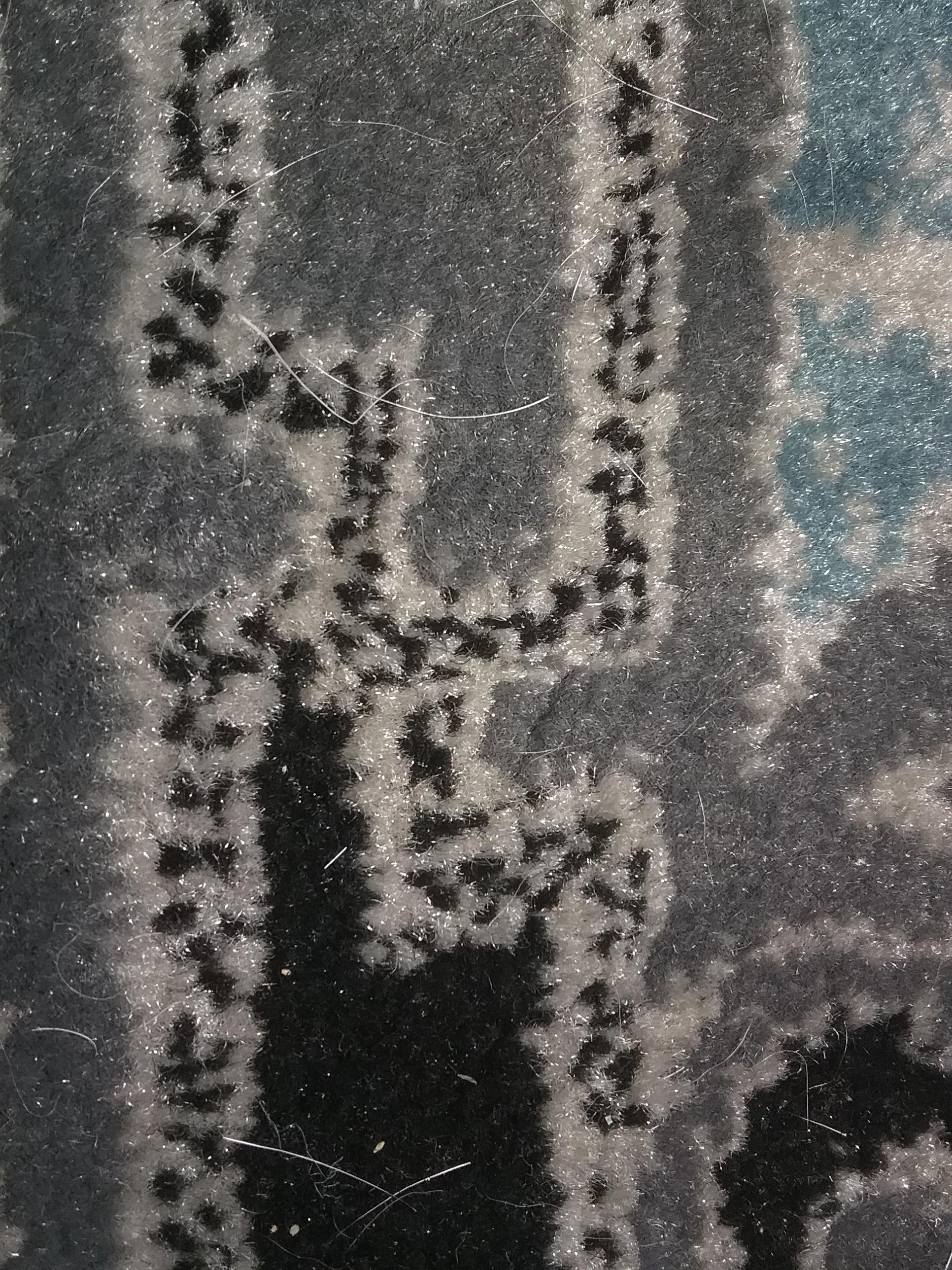 Found this on my rug, also don't mind all the dog hair r