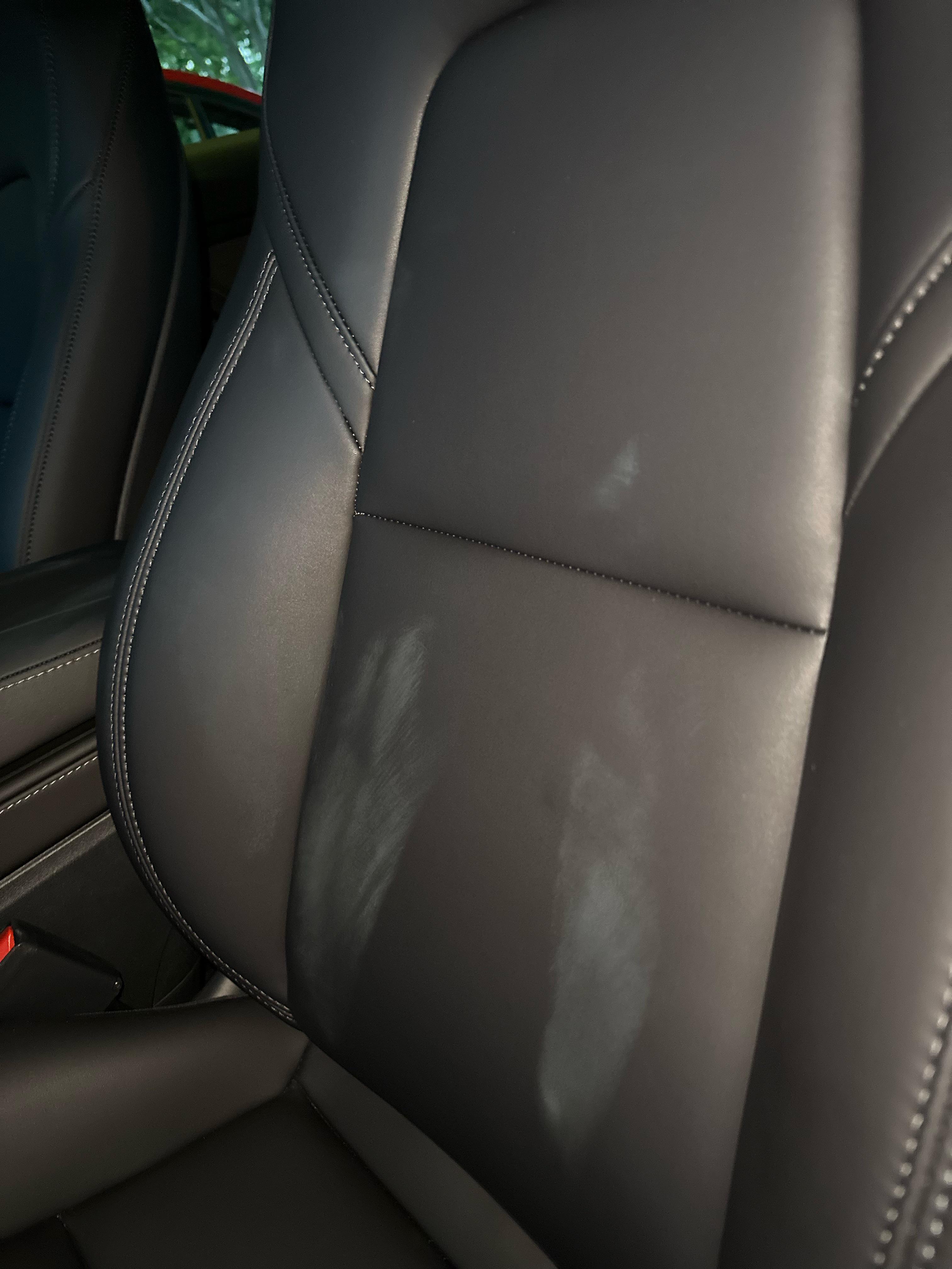 How do i clean this? : r/TeslaModel3