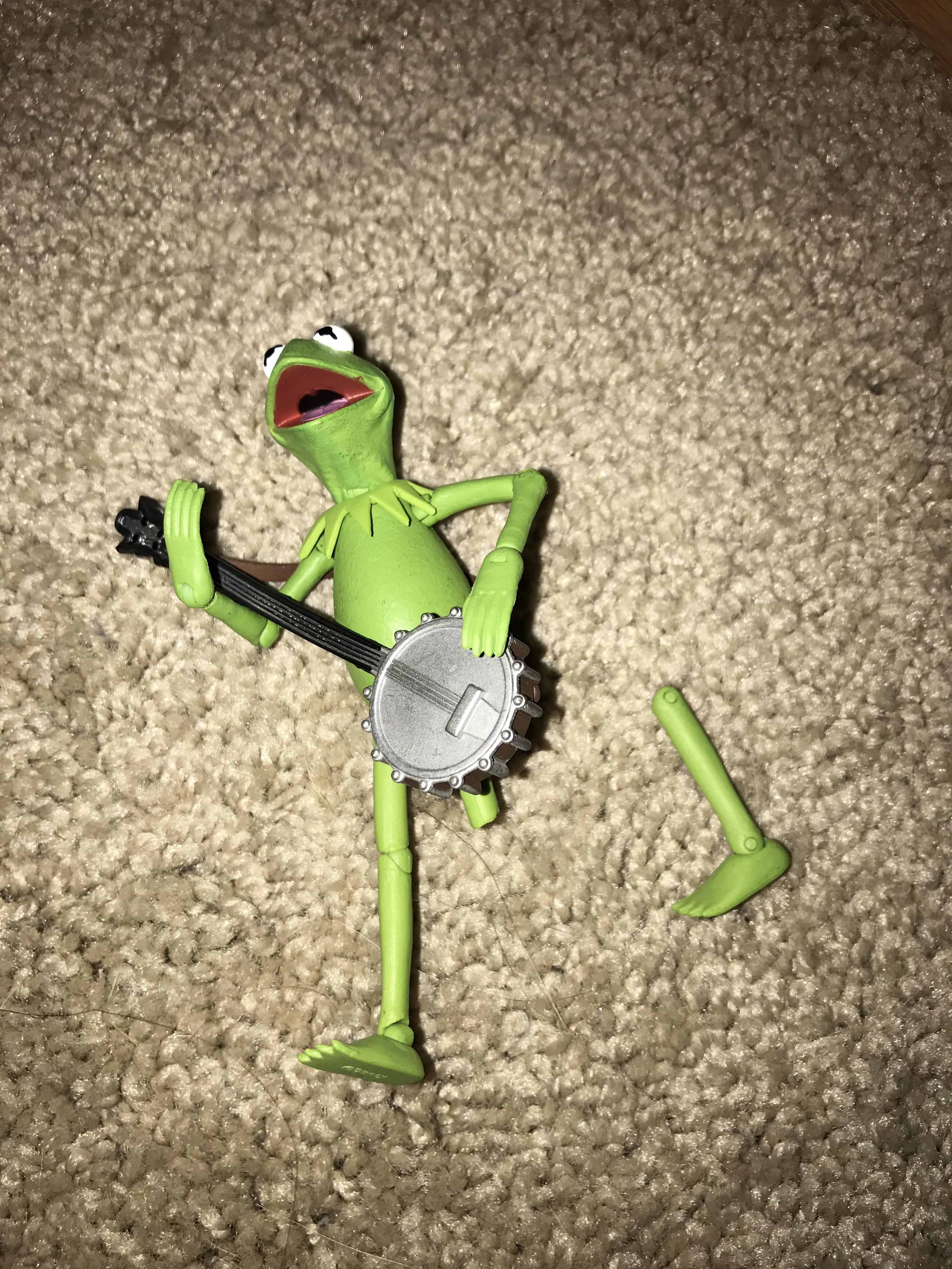 Tragedy. Kermit fell five feet and suffered a debilitating injury. r
