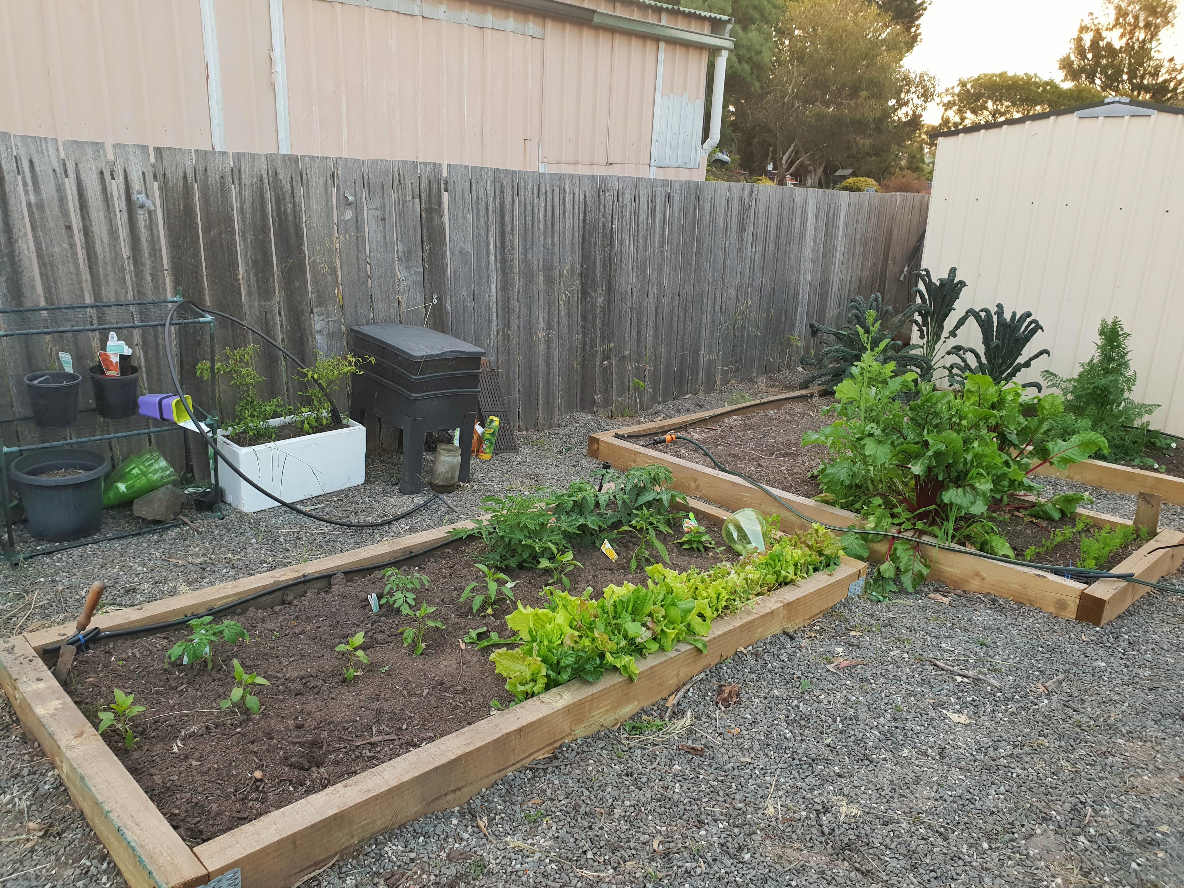 I love this time of year! r/gardening