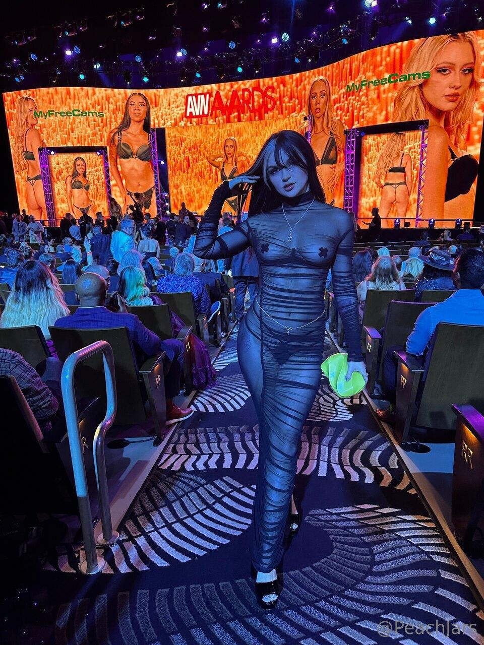 my AVN awards fit (i met SO many hot women) : PeachJars