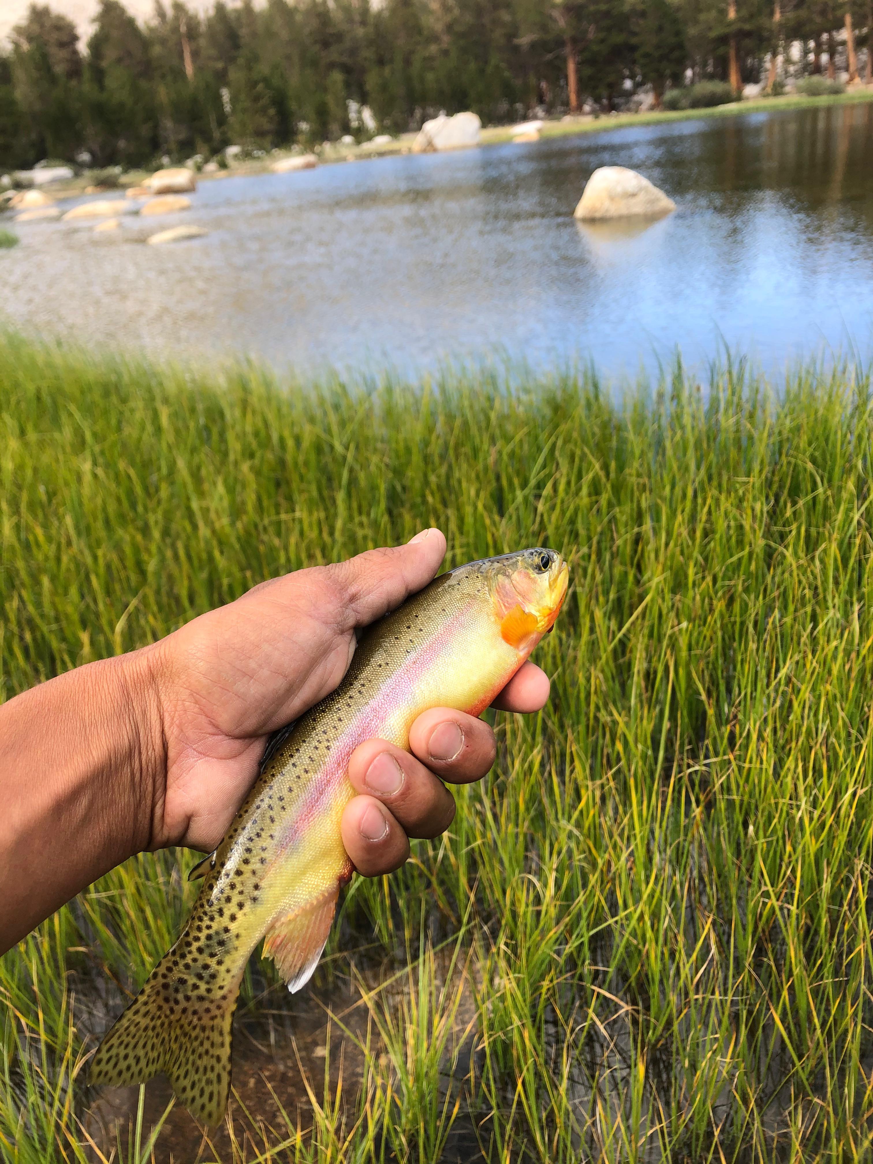 Cottonwood Lakes r/Fishing