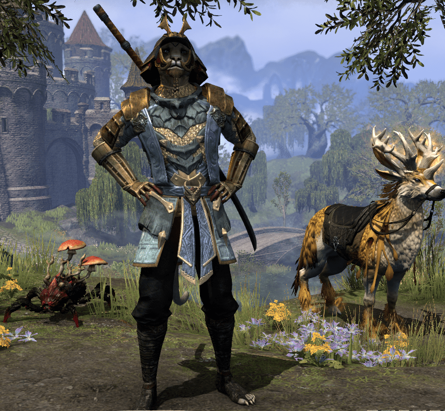 my stam templar with akaviri style TESOfashion