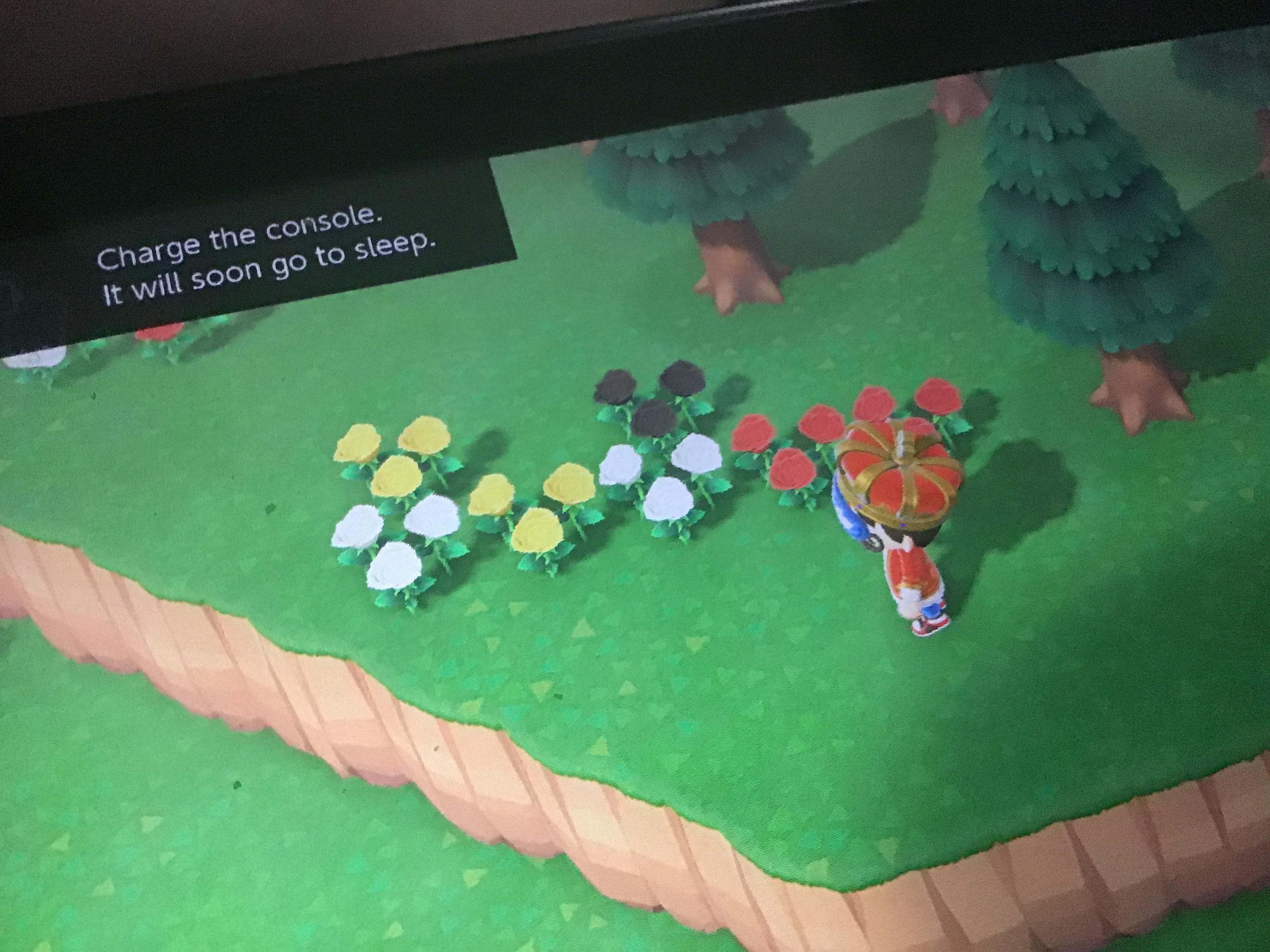 I started out with roses and the white yellow and red started this way