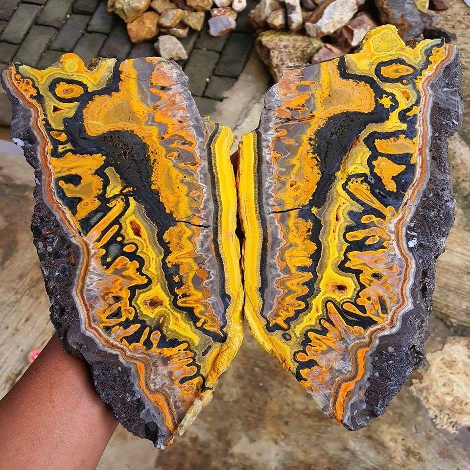 🔥 Stunning and rare Bumblebee jasper slabs from Indonesia! found only