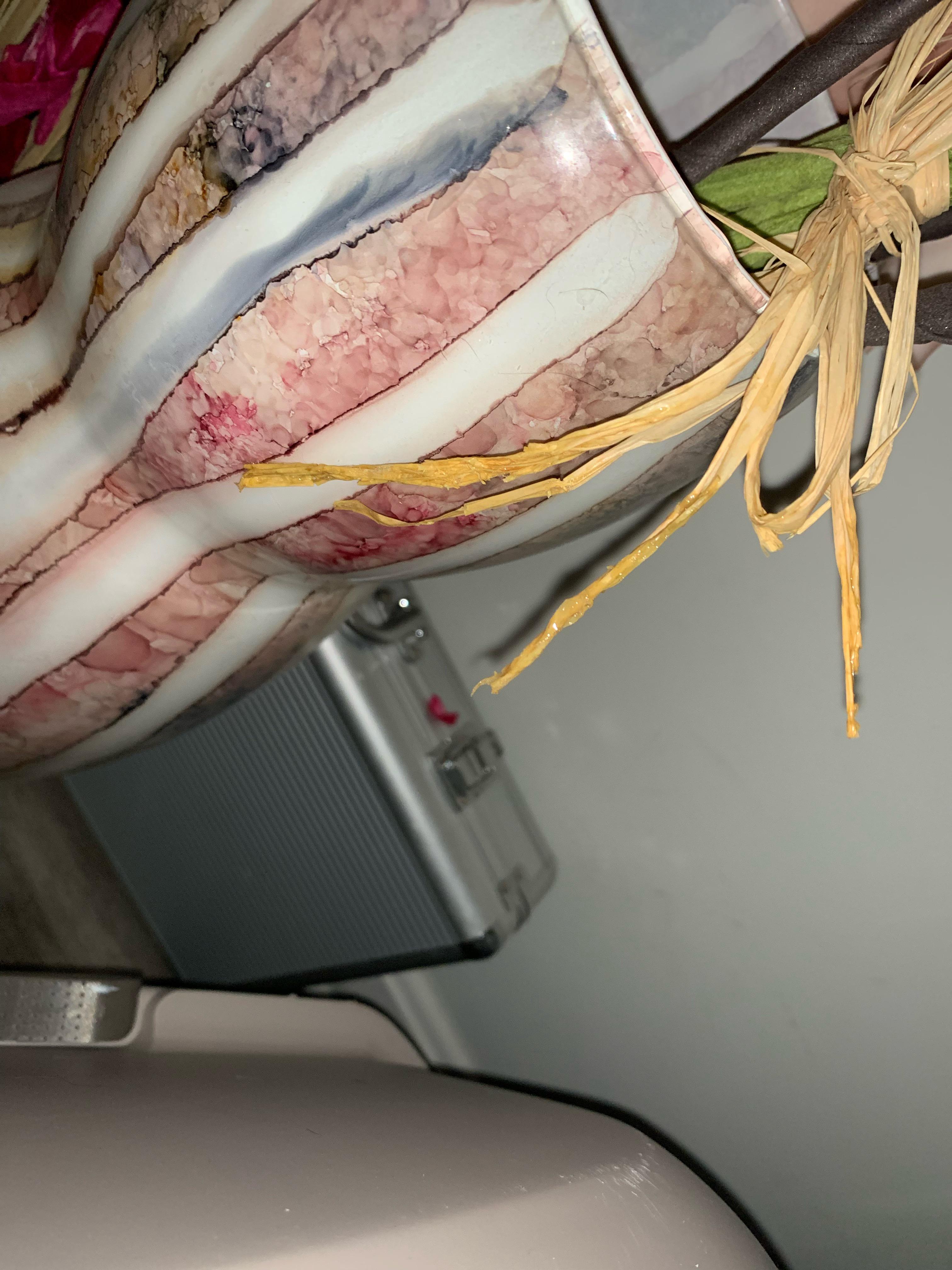 I found my cat eating some string like material and his stomach was