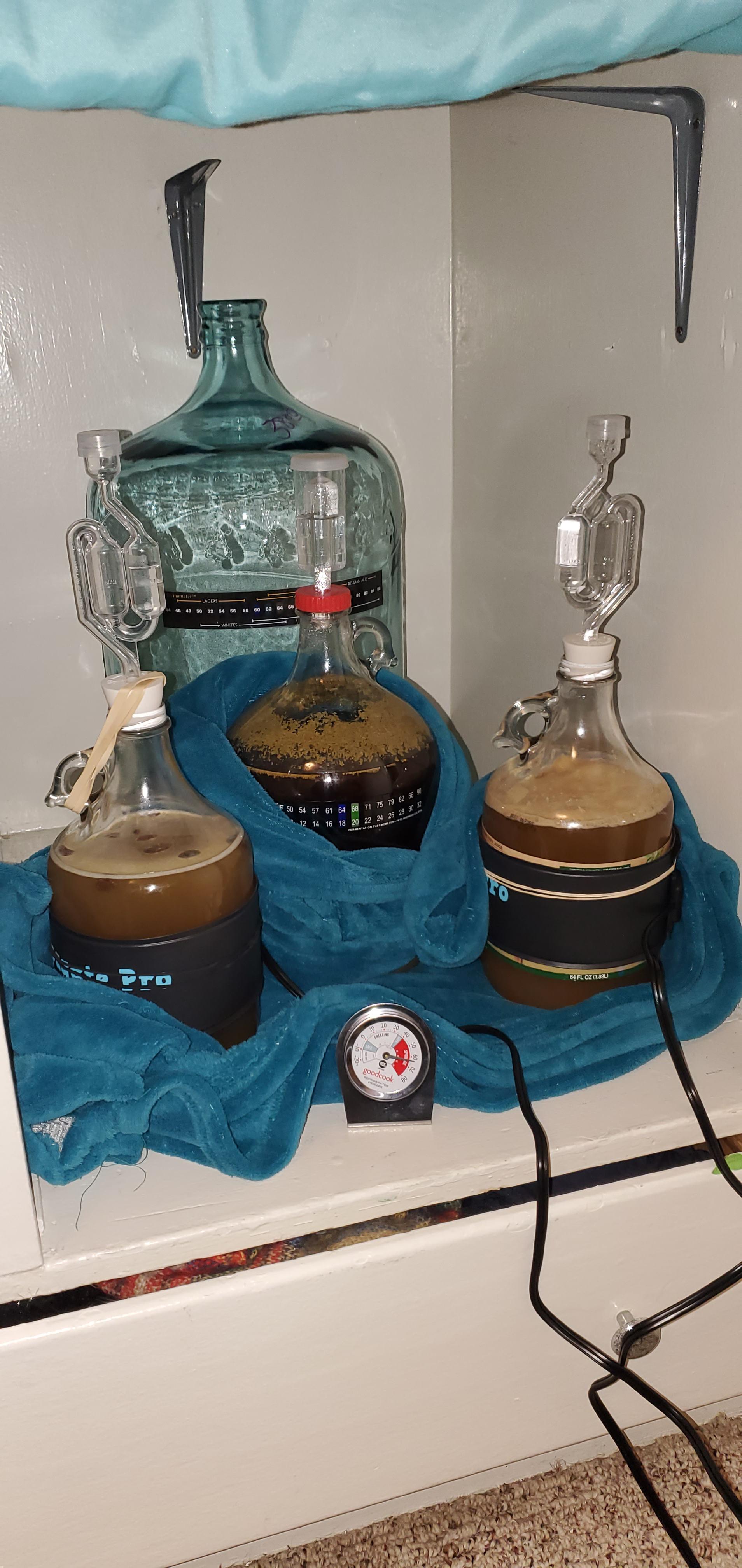 Mead and brown ale in the fermentation station! r/fermentation