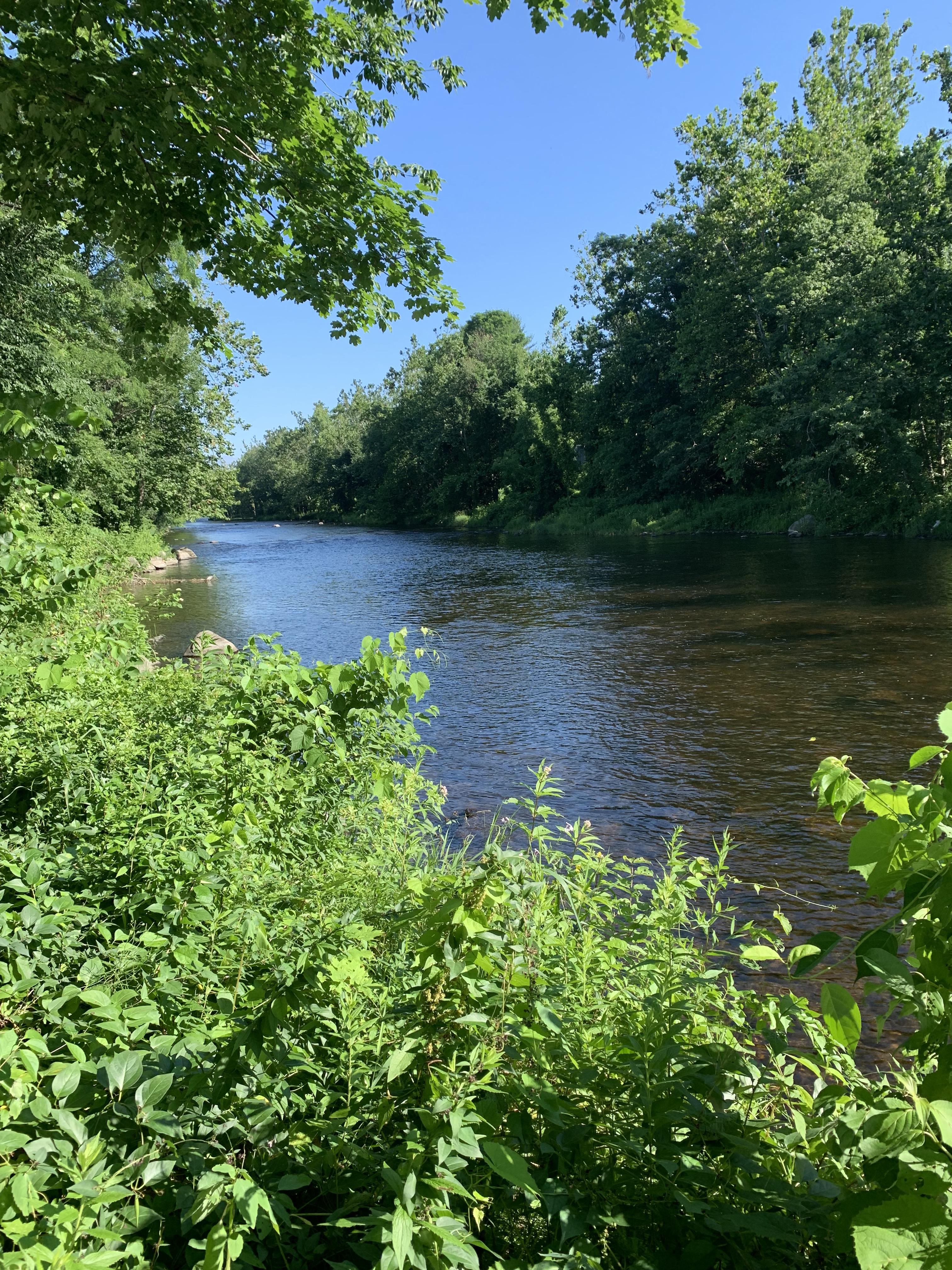 I love this river! Farmington River, New Hartford r/Connecticut