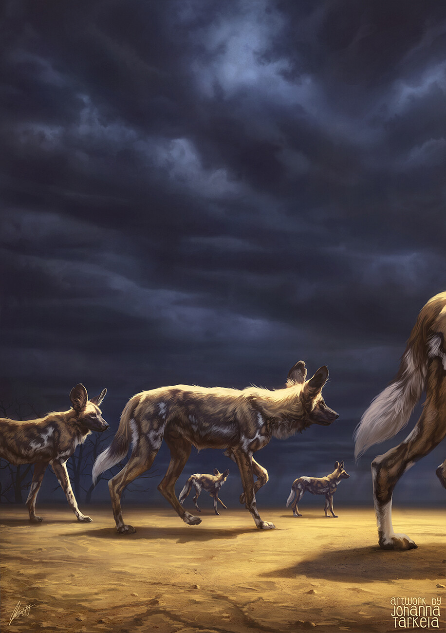 Far Beyond by Johanna Tarkela r/PaintedWolves