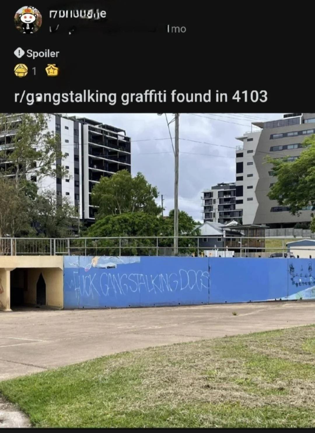 Awareness is Raising In Australia the topic of Gangstalking Post I