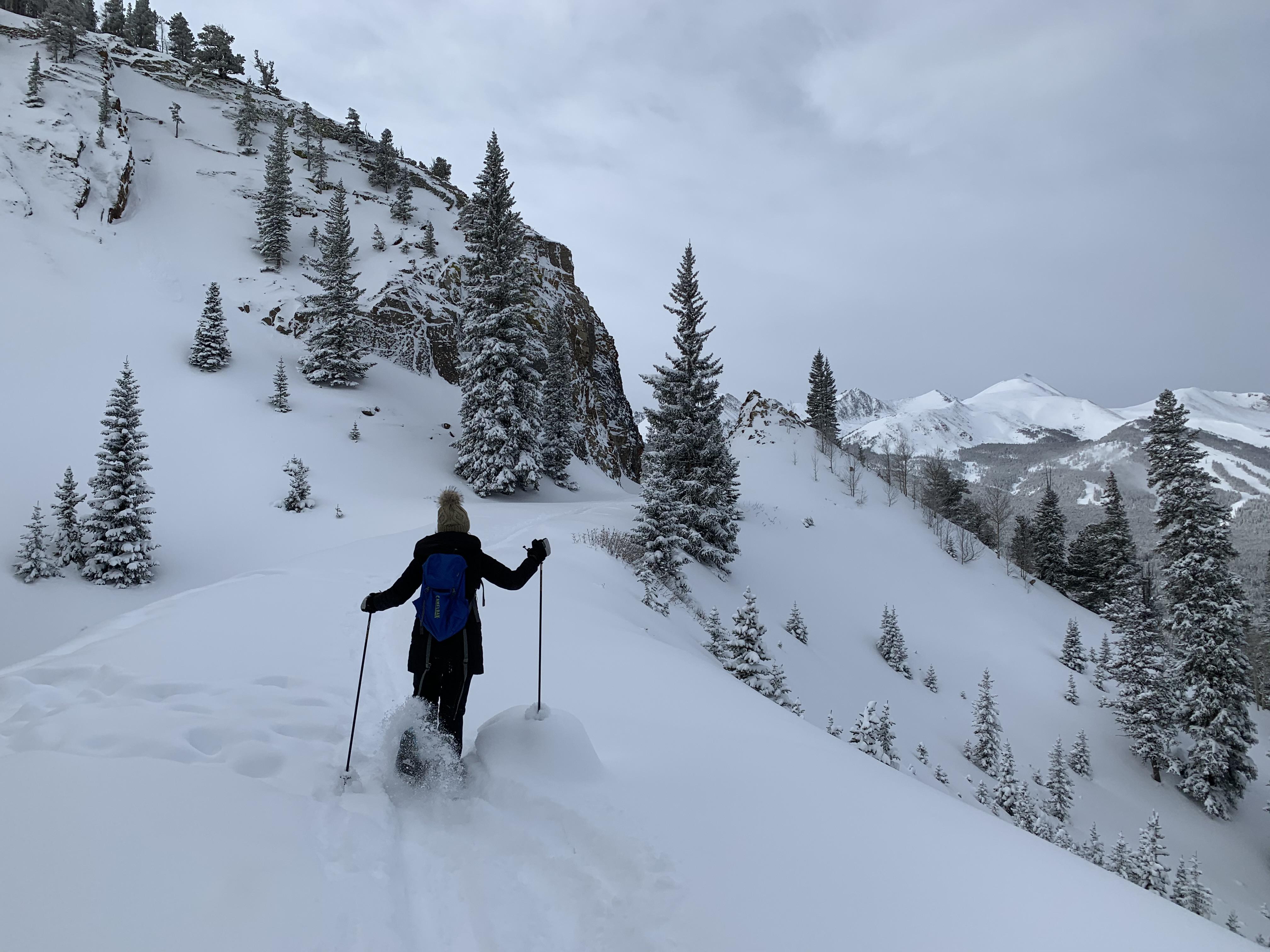 Snowshoeing near Breckenridge, CO this morning r/winterporn