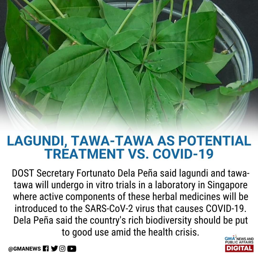 The Department of Science and Technology is studying various herbal