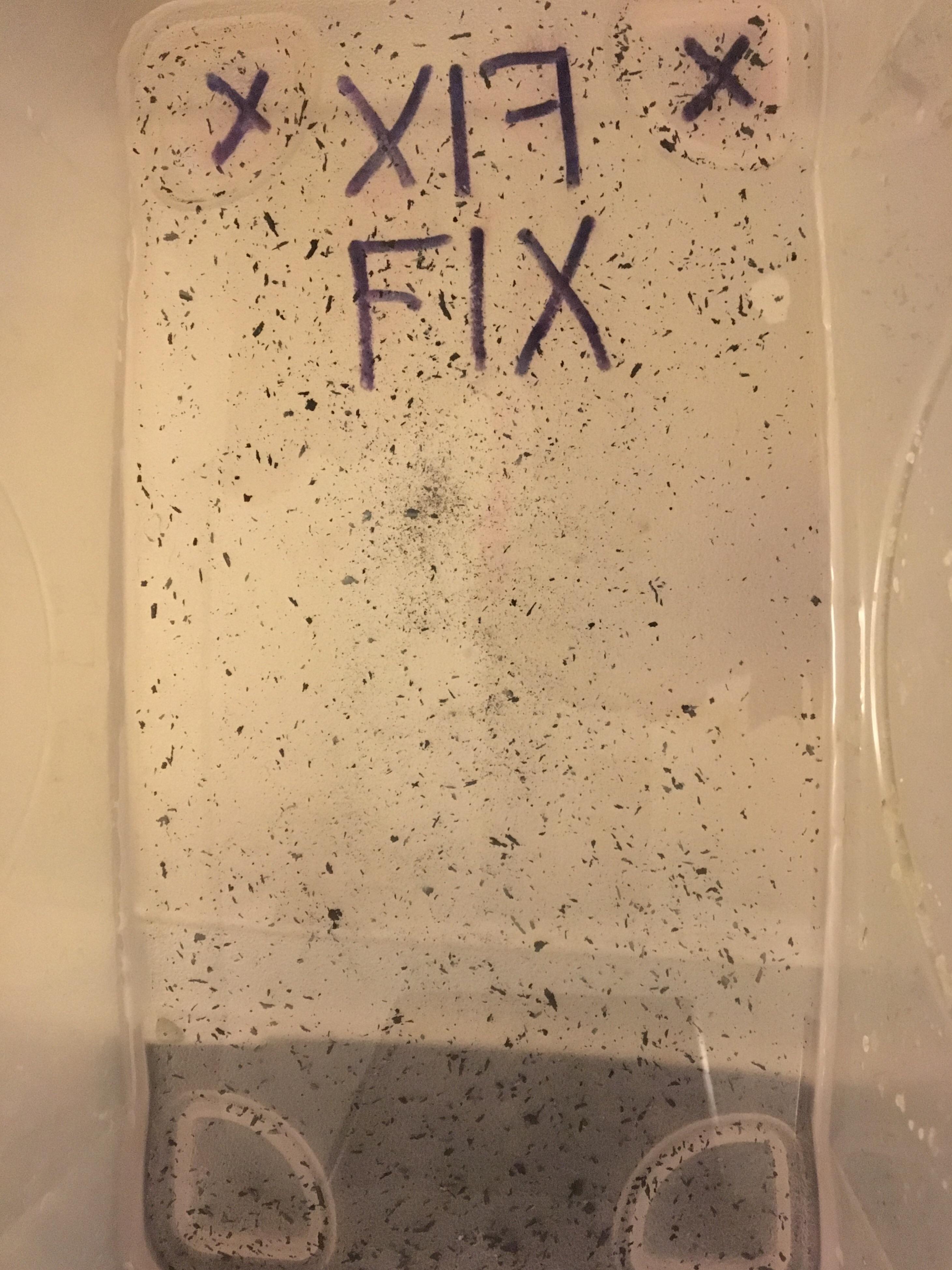 What these black bits floating in my fixer? r/Darkroom