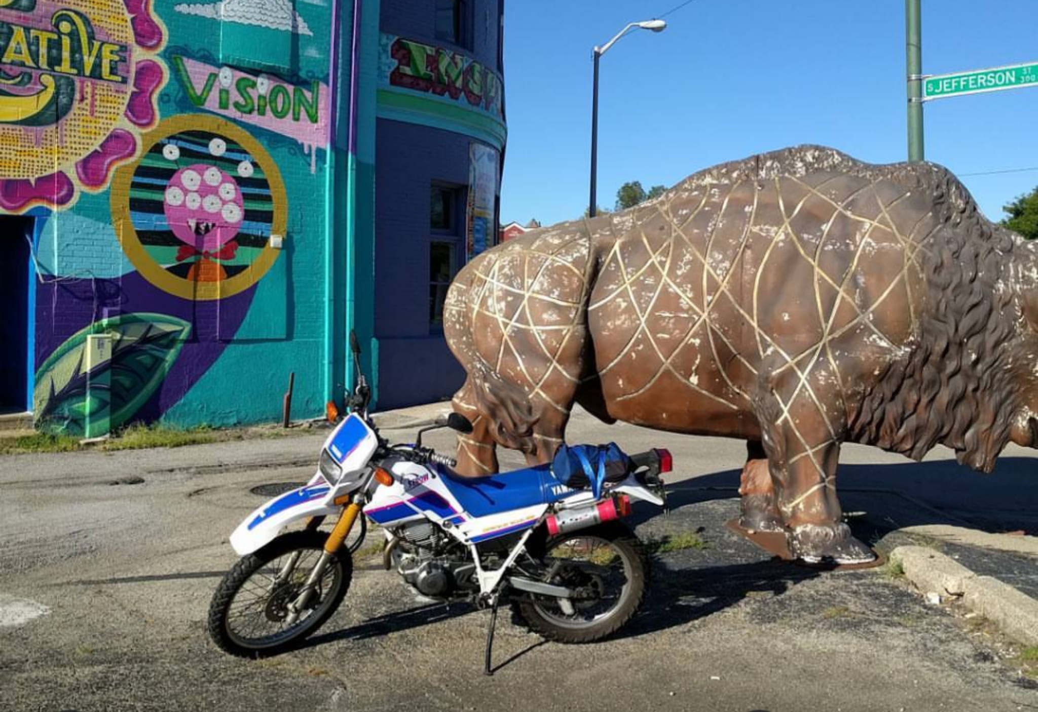 Anyone know what happened to the buffalo at Tejas gallery? r/dayton