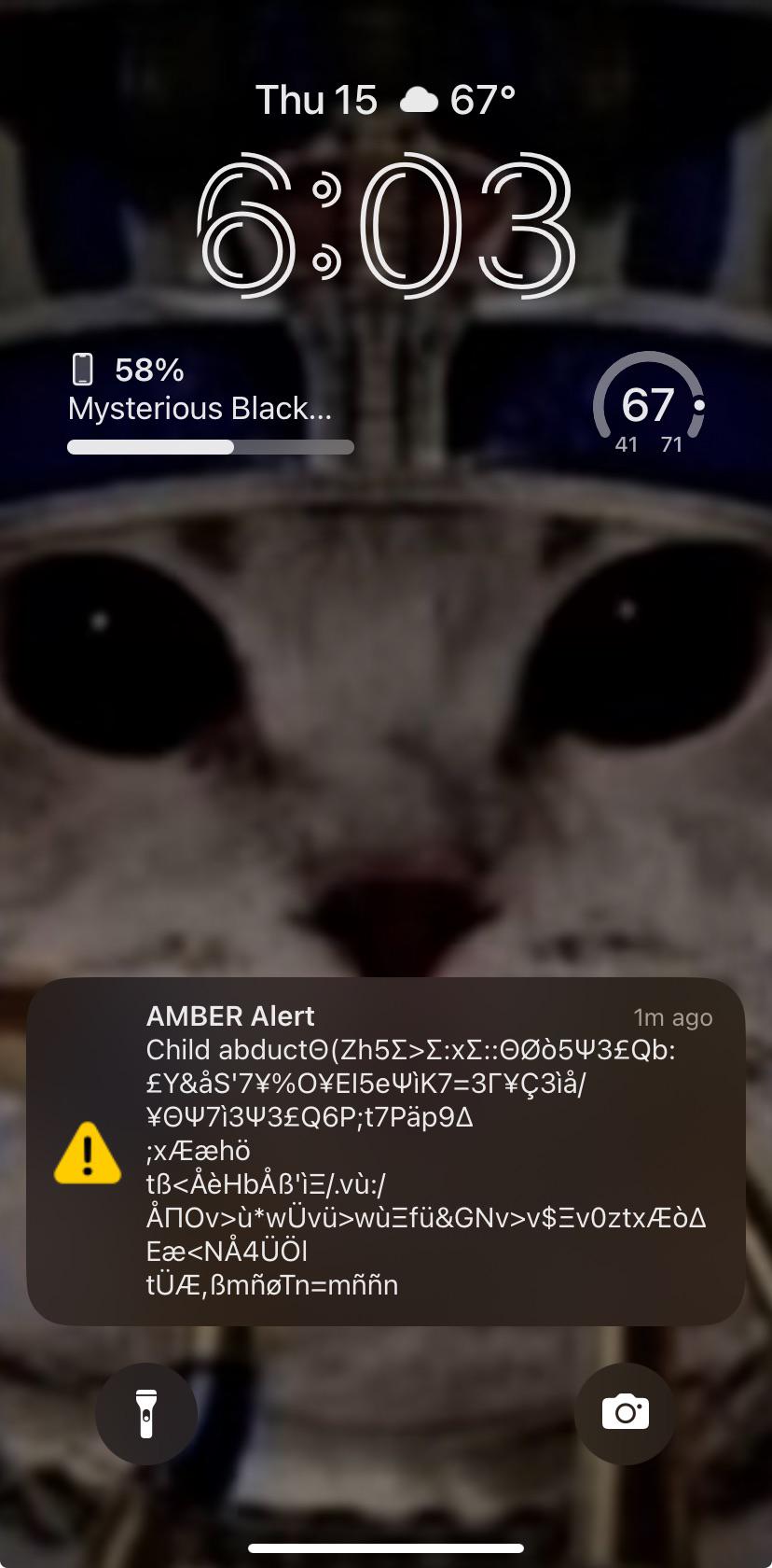 I heard the amber alert sound and grabbed my phone only to see this r