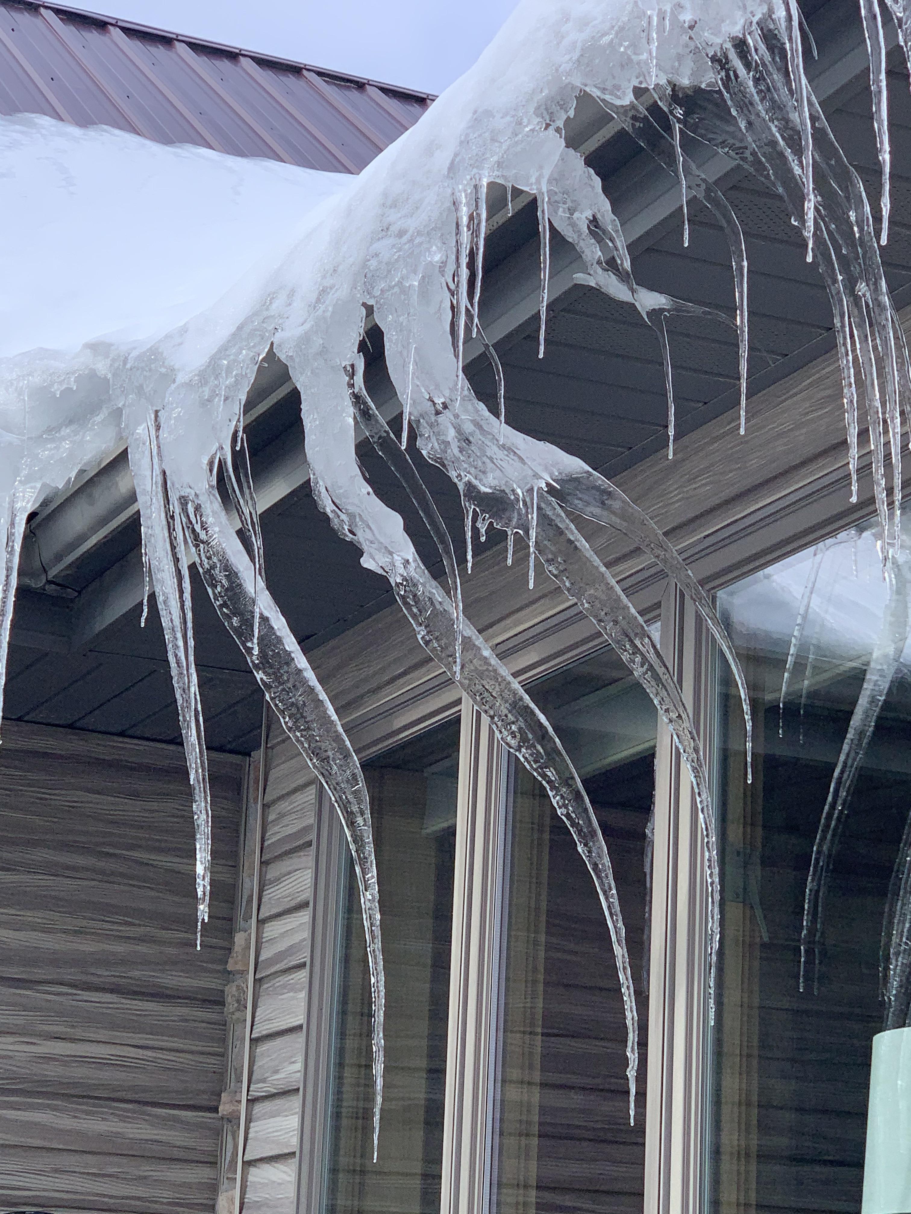 Beautiful but weirdly creepy icicles grew on my house this winter.