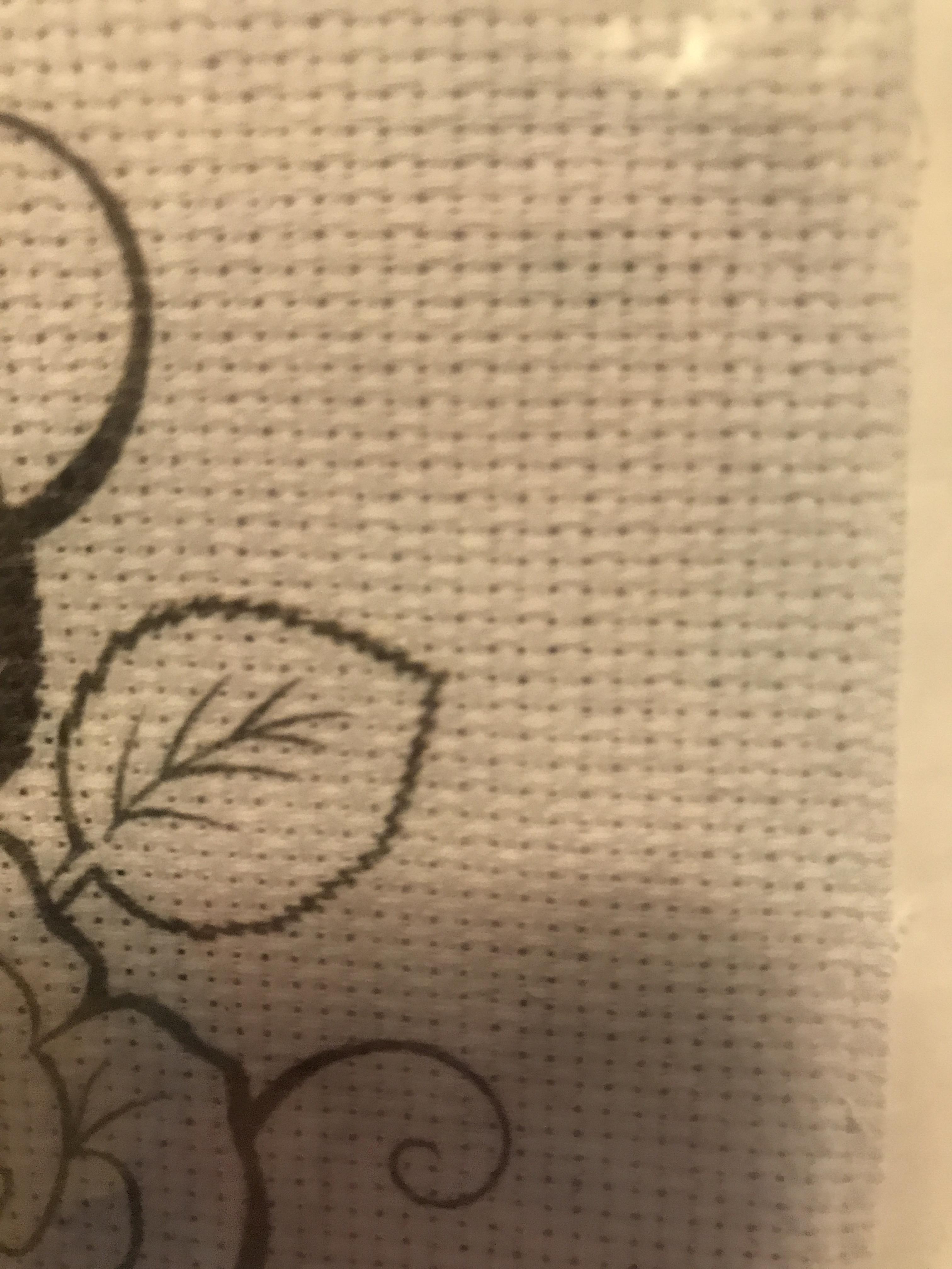 Can I use this Aida for embroidery? It came with an embroidery kit but