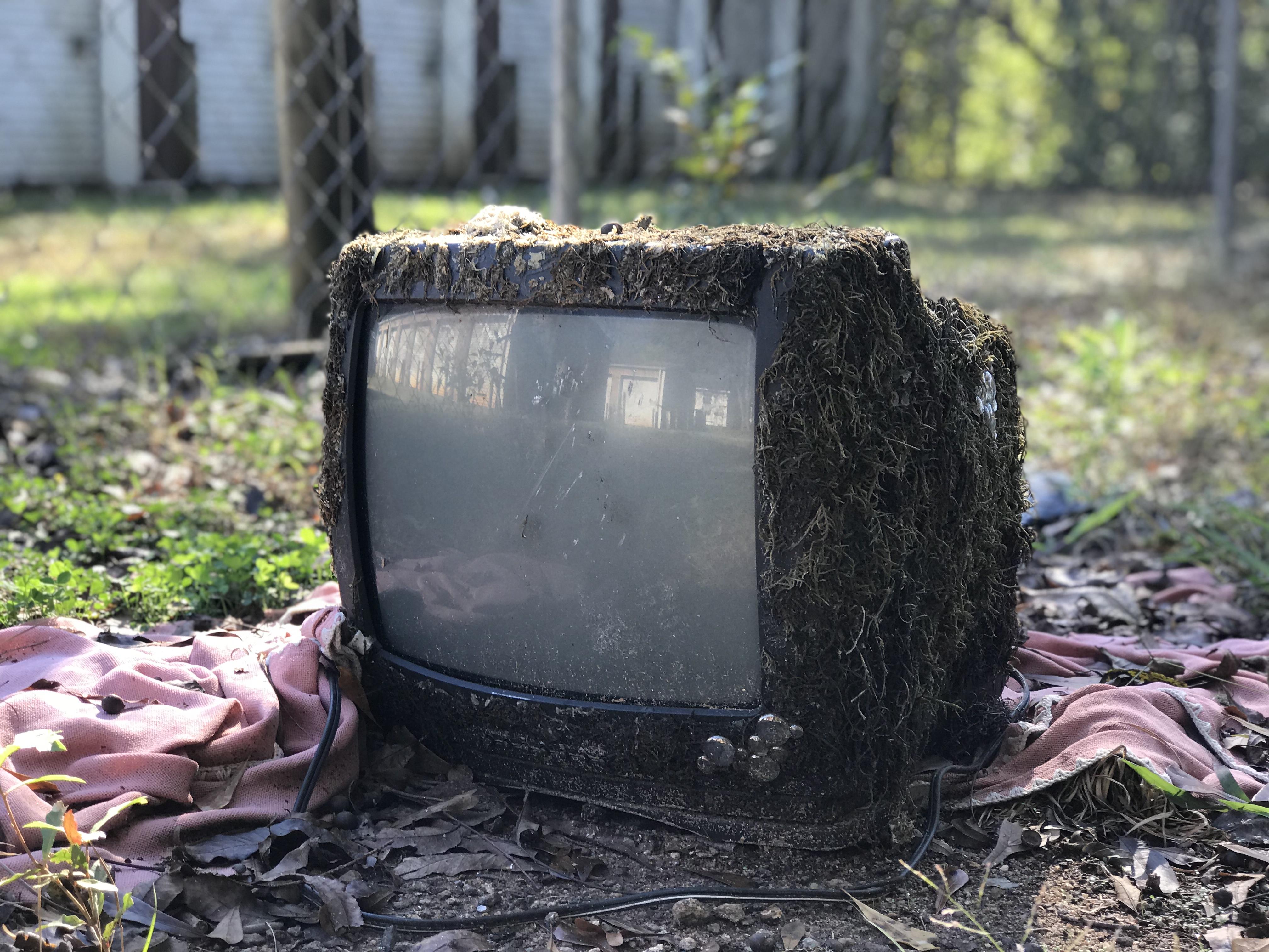 Old Tube TV covered in moss [Athens, GA] r/pics