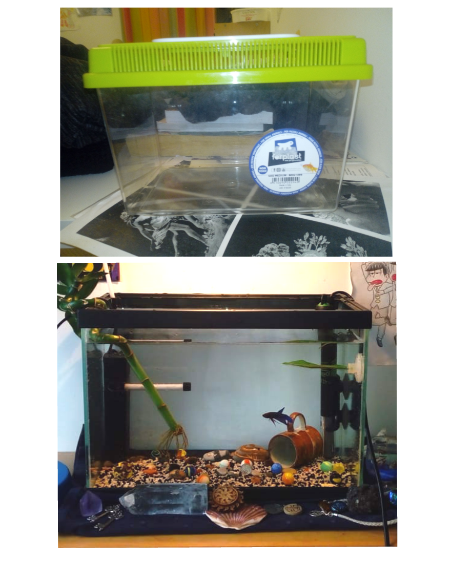 This abomination the pet store sold me for my betta. A plastic 1.1